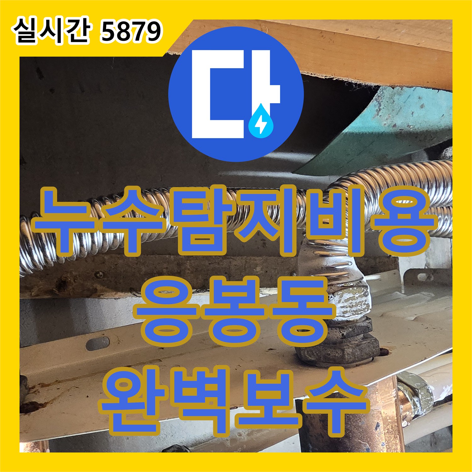 누수탐지비용 고민보다 정확한 진단으로 싱크대 하부 주름관 누수를 잡은 서울 성동구 응봉동