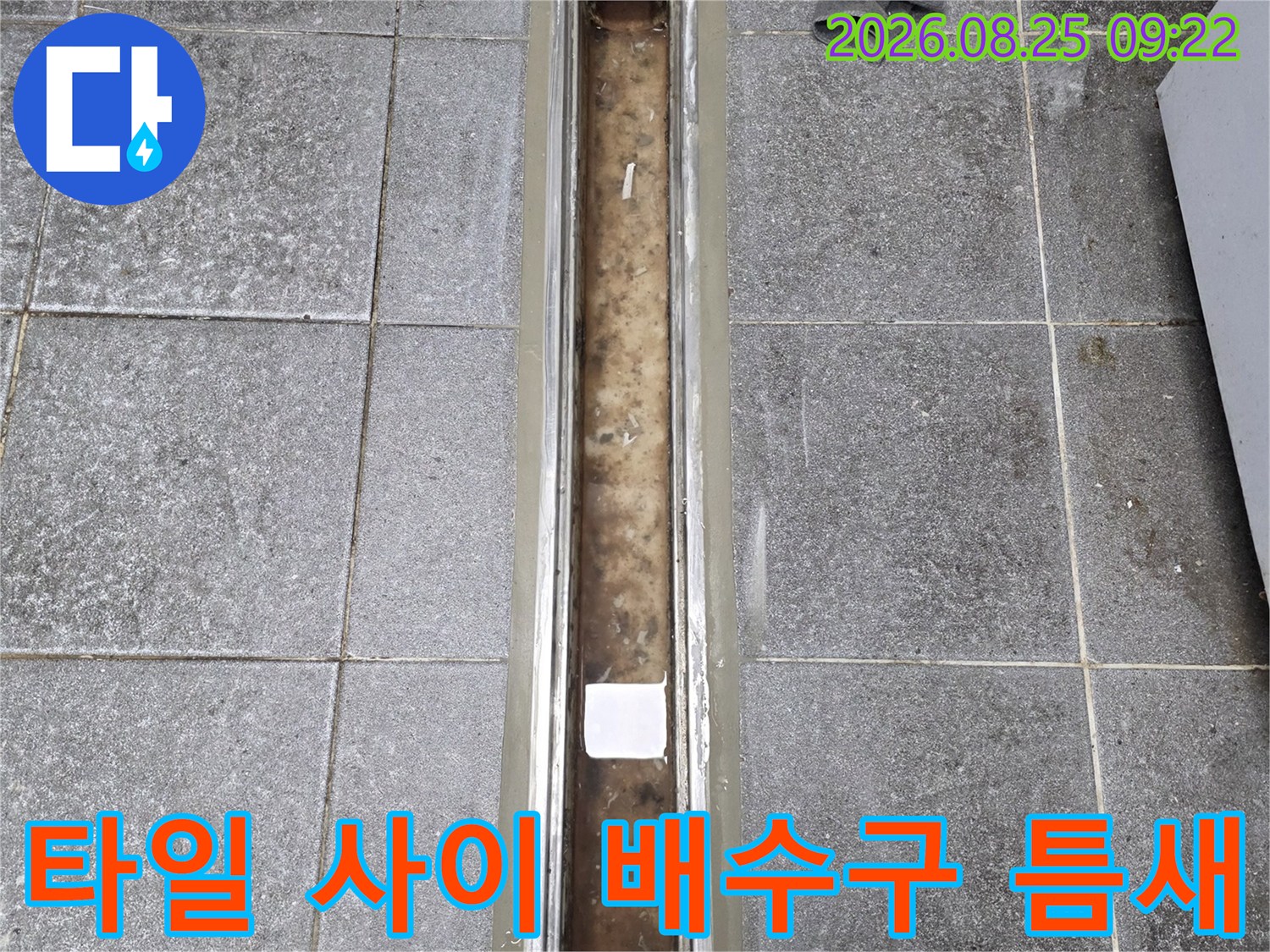 배수구 주변 타일 틈새에 고여있는-오염된 물과 이물질