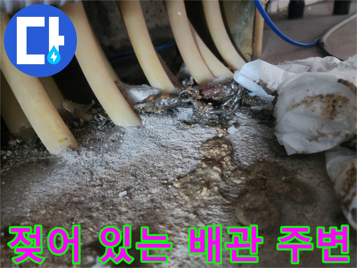 싱크대-하부-배관-주변의-습기와-오염물질