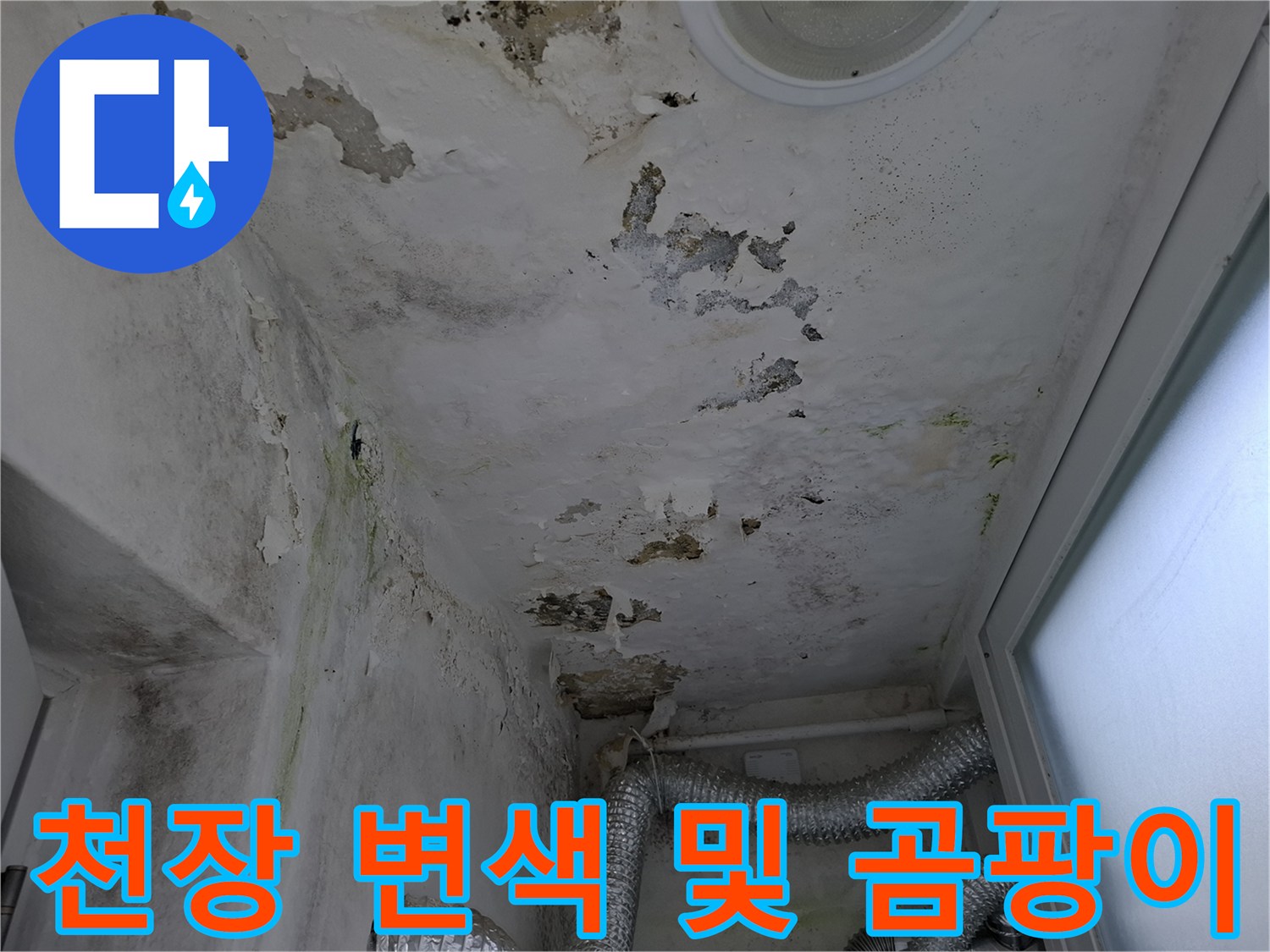 누수로 인한 주방 천장 마감재-변색과 곰팡이 오염