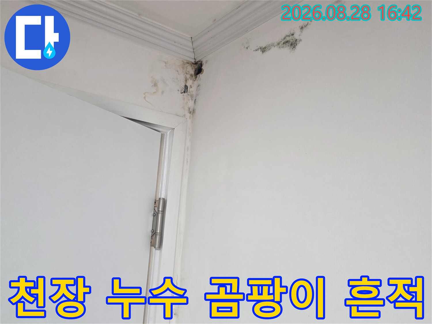 아파트 천장 모서리 몰딩 부근의 검은 곰팡이와 습기 얼룩