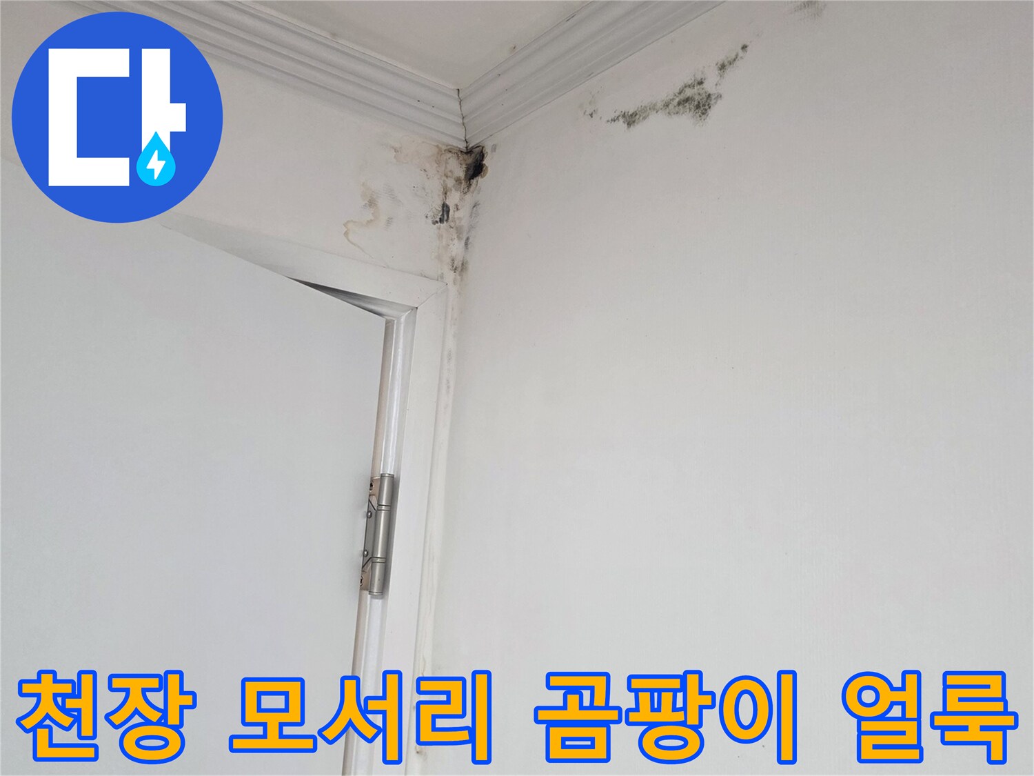 아파트 천장 모서리에 발생한 검은색 곰팡이와 벽지 오염 상태