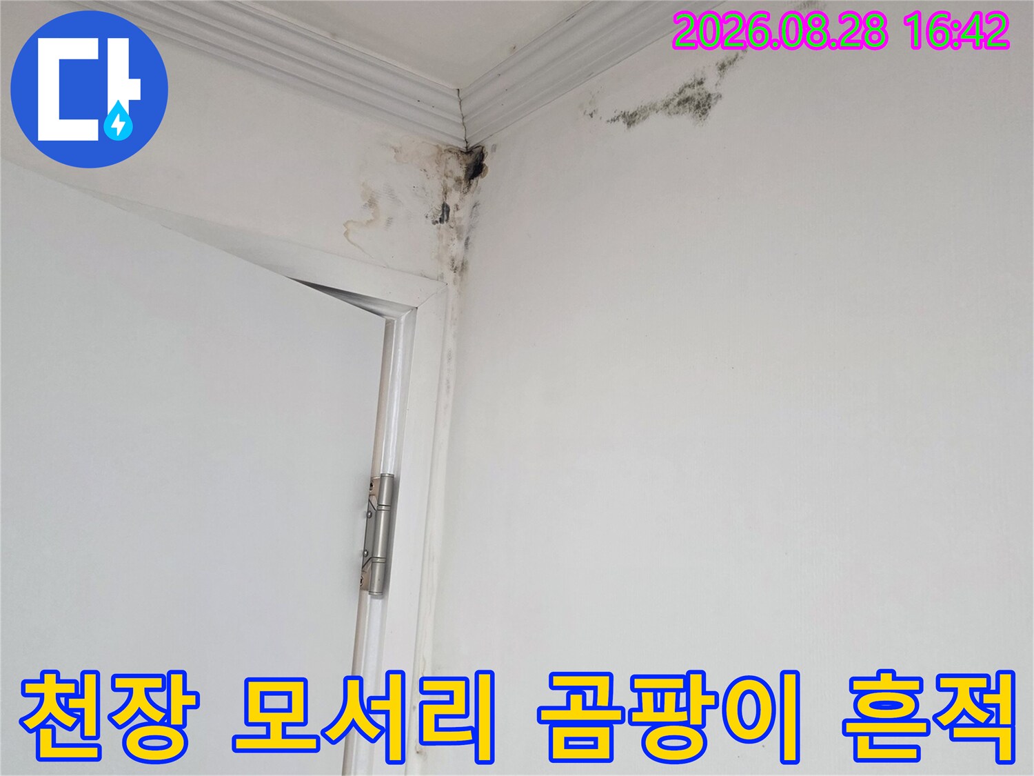 용인 기흥구 상하동 아파트 천장 모서리에 발생한 검은색 곰팡이와 얼룩 현상