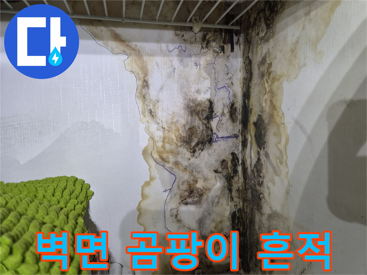 구로구 오류동 현장의 벽지 곰팡이와 물자국 상태