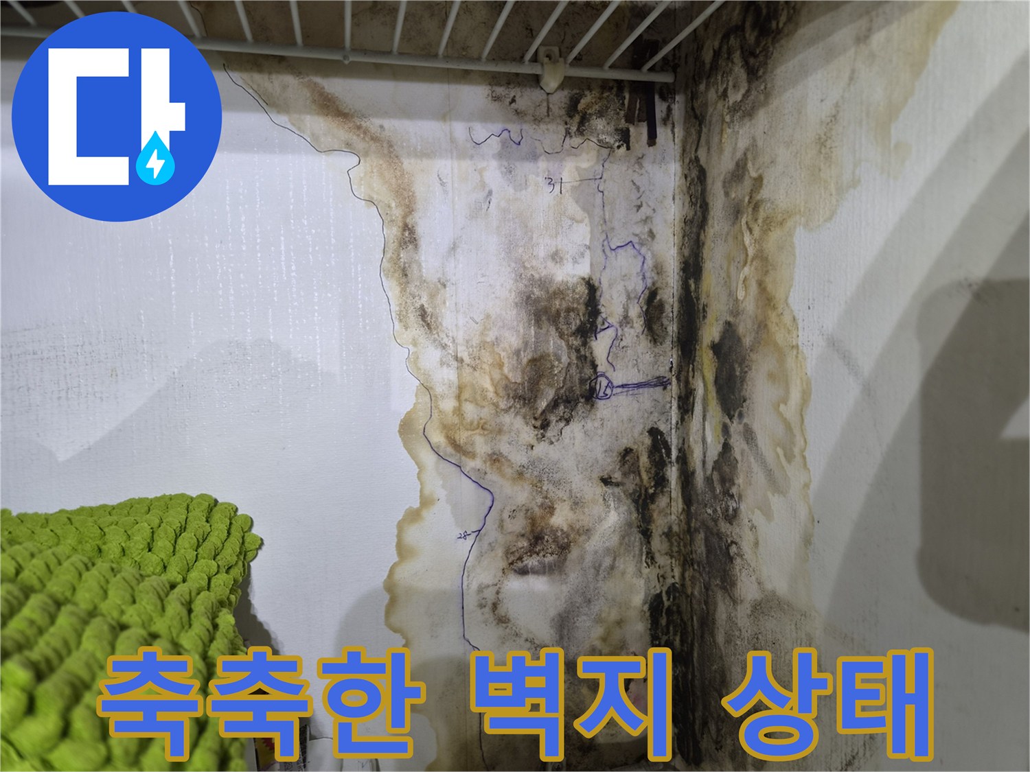 물이 스며든-벽지의 곰팡이와 얼룩 현상