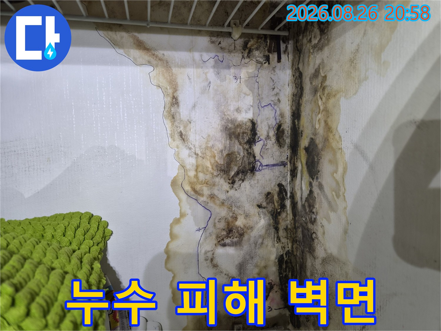 물자국과 곰팡이가 심하게 발생한 실내 벽면의 모습