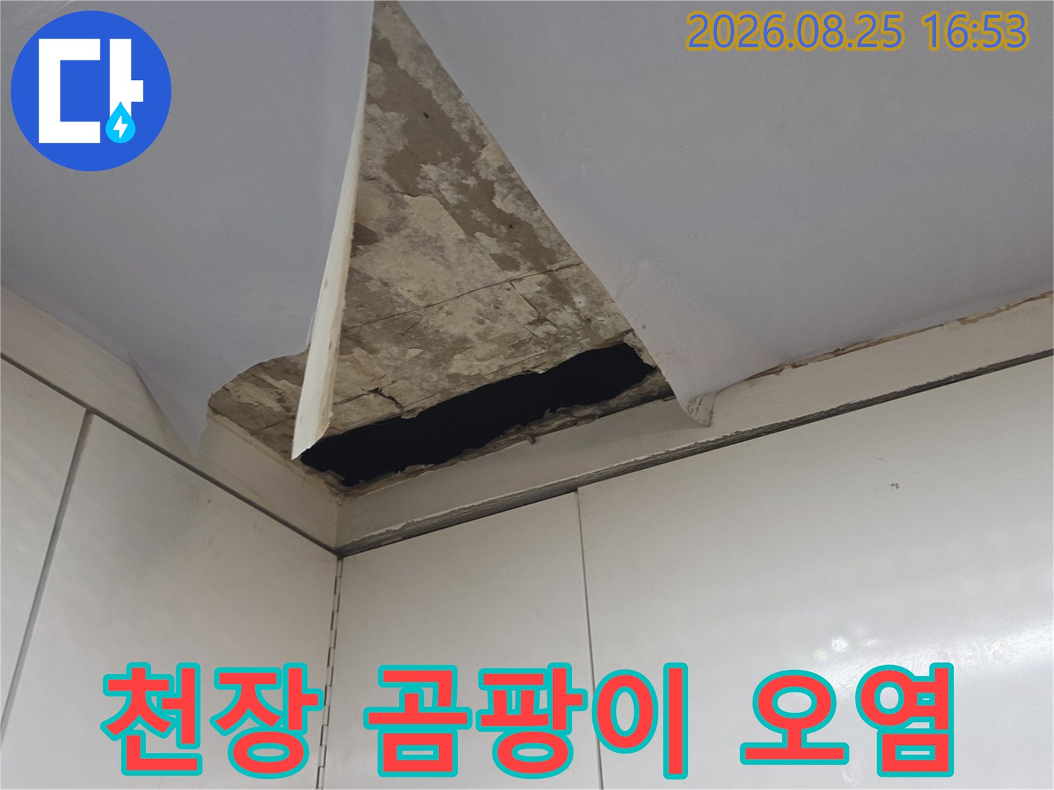 싱크대 상부장 천장 모서리의 곰팡이와 물샘 흔적 사진
