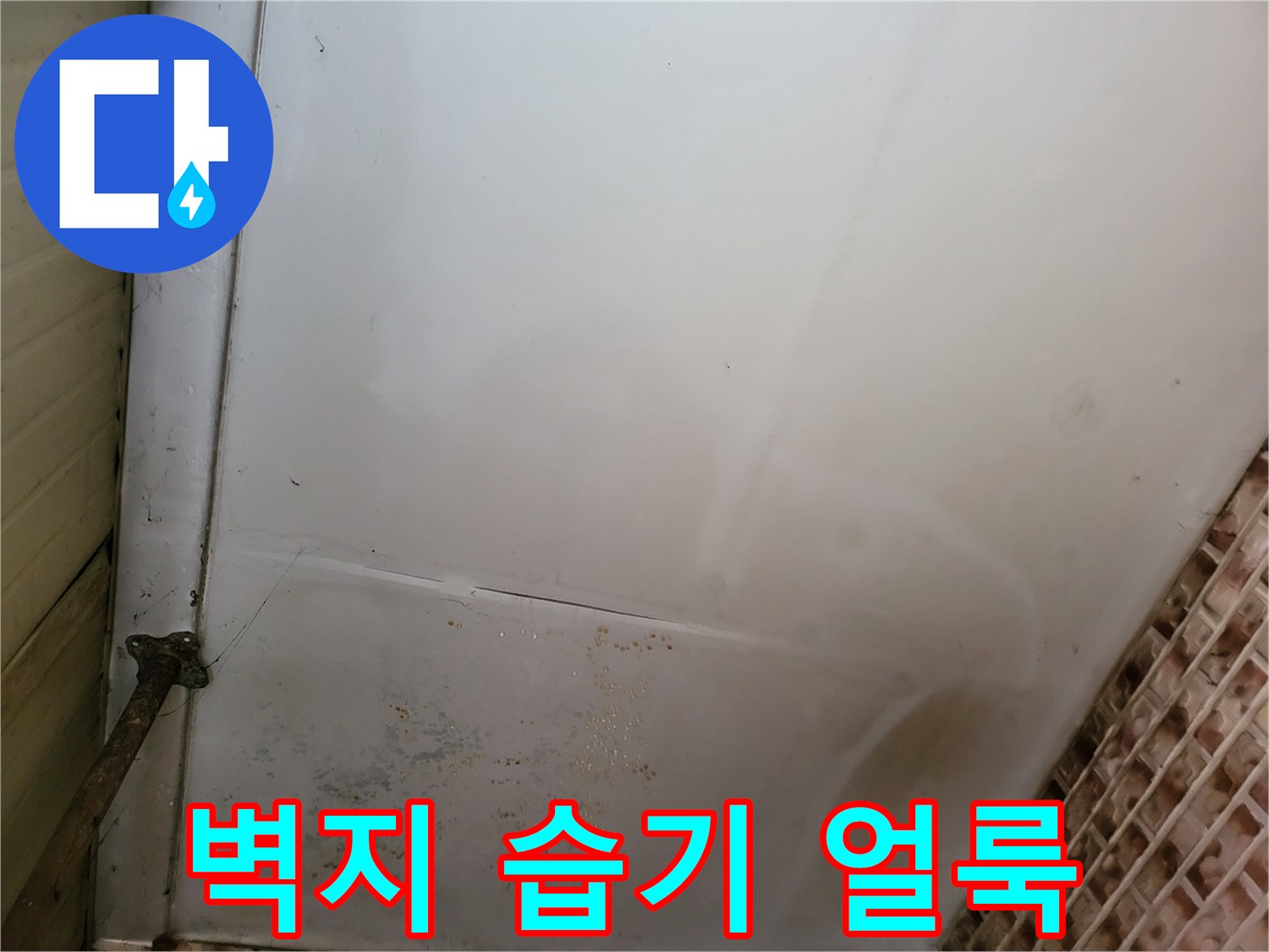 습기로 인해 눅눅해진 천장 벽지 상태