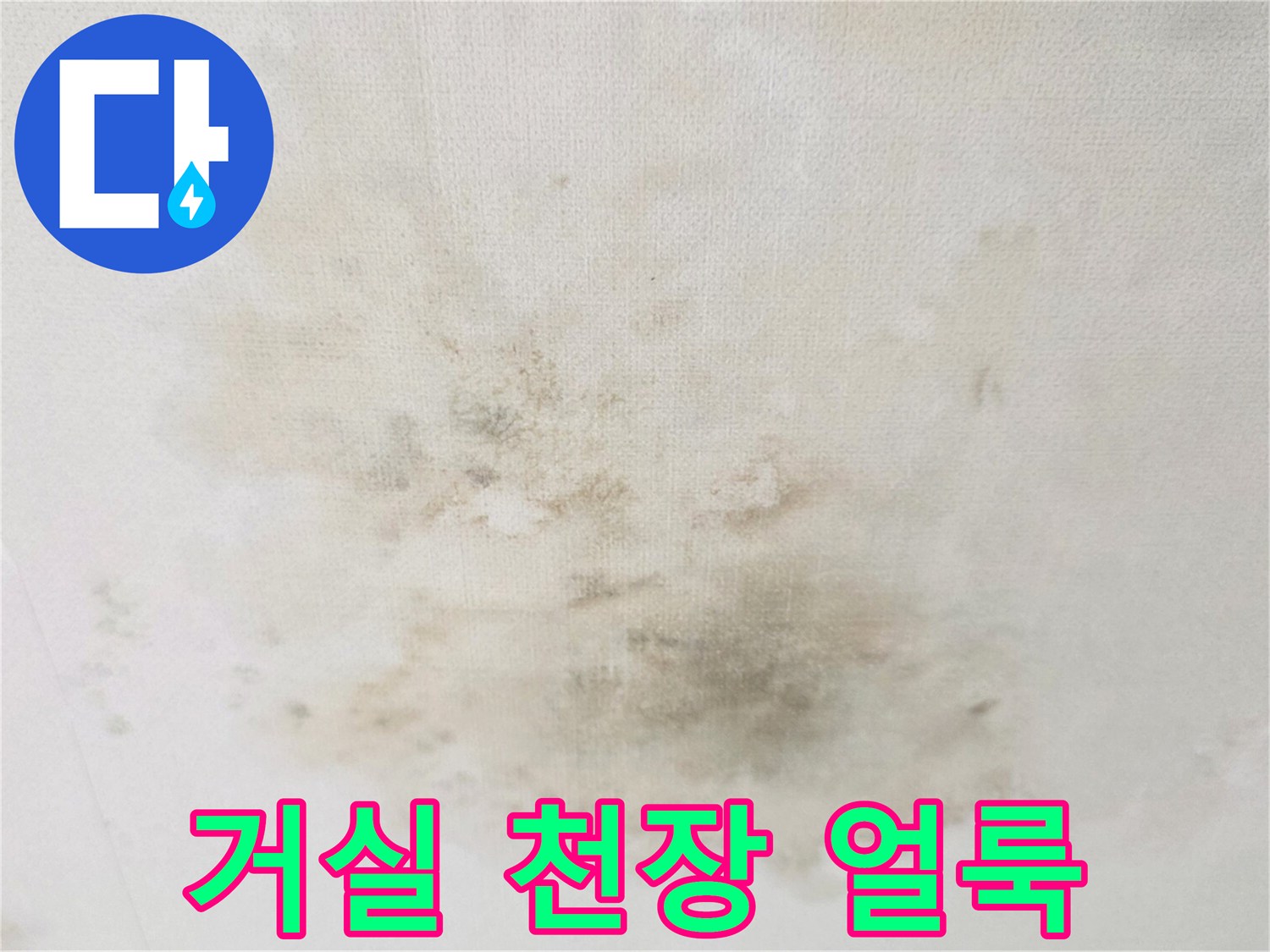 거실-천장에-발생한-넓은-물얼룩과-곰팡이-상태