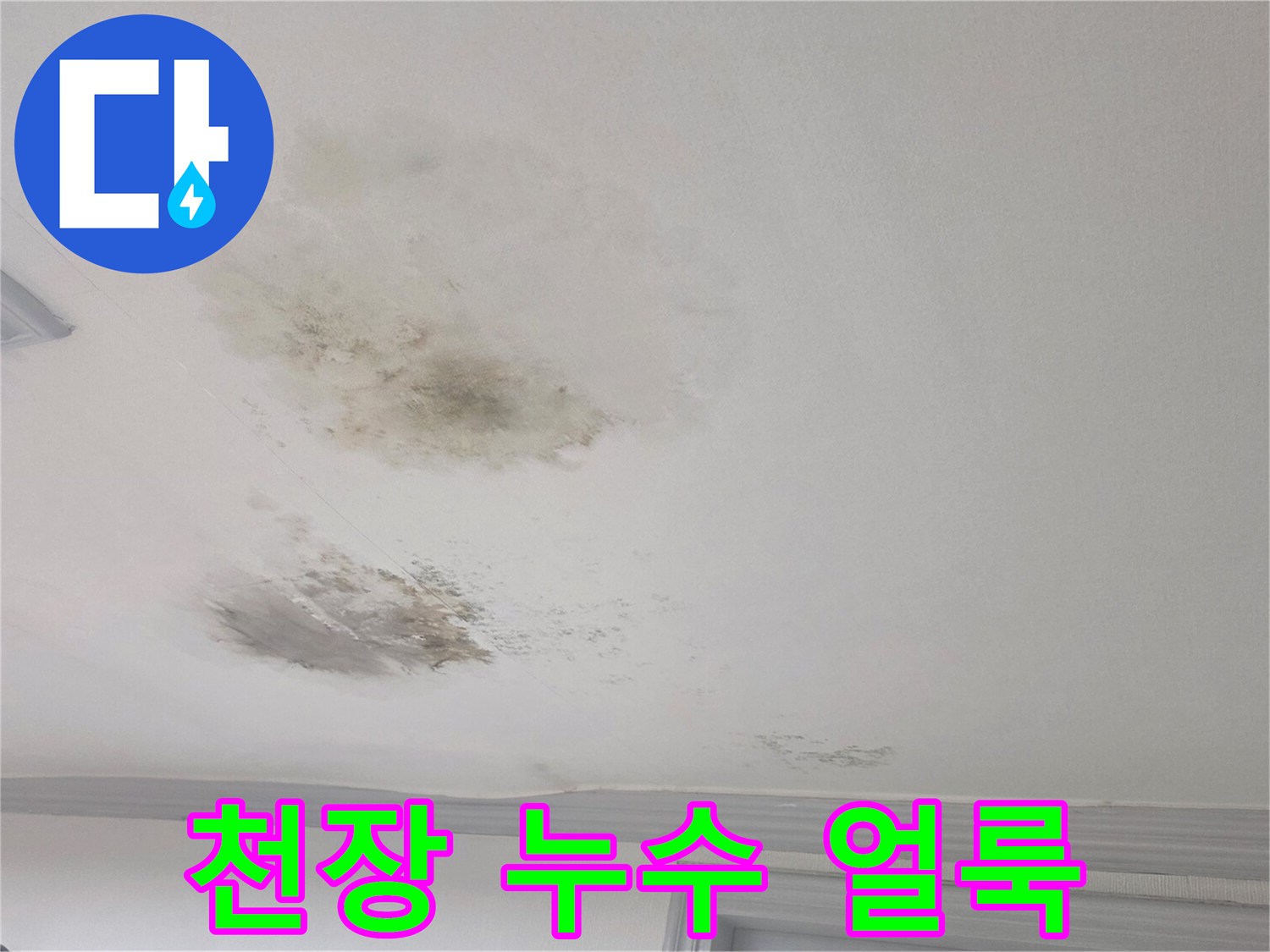 넓게 퍼진 물자국과 곰팡이가 관찰되는 거실 천장 모습