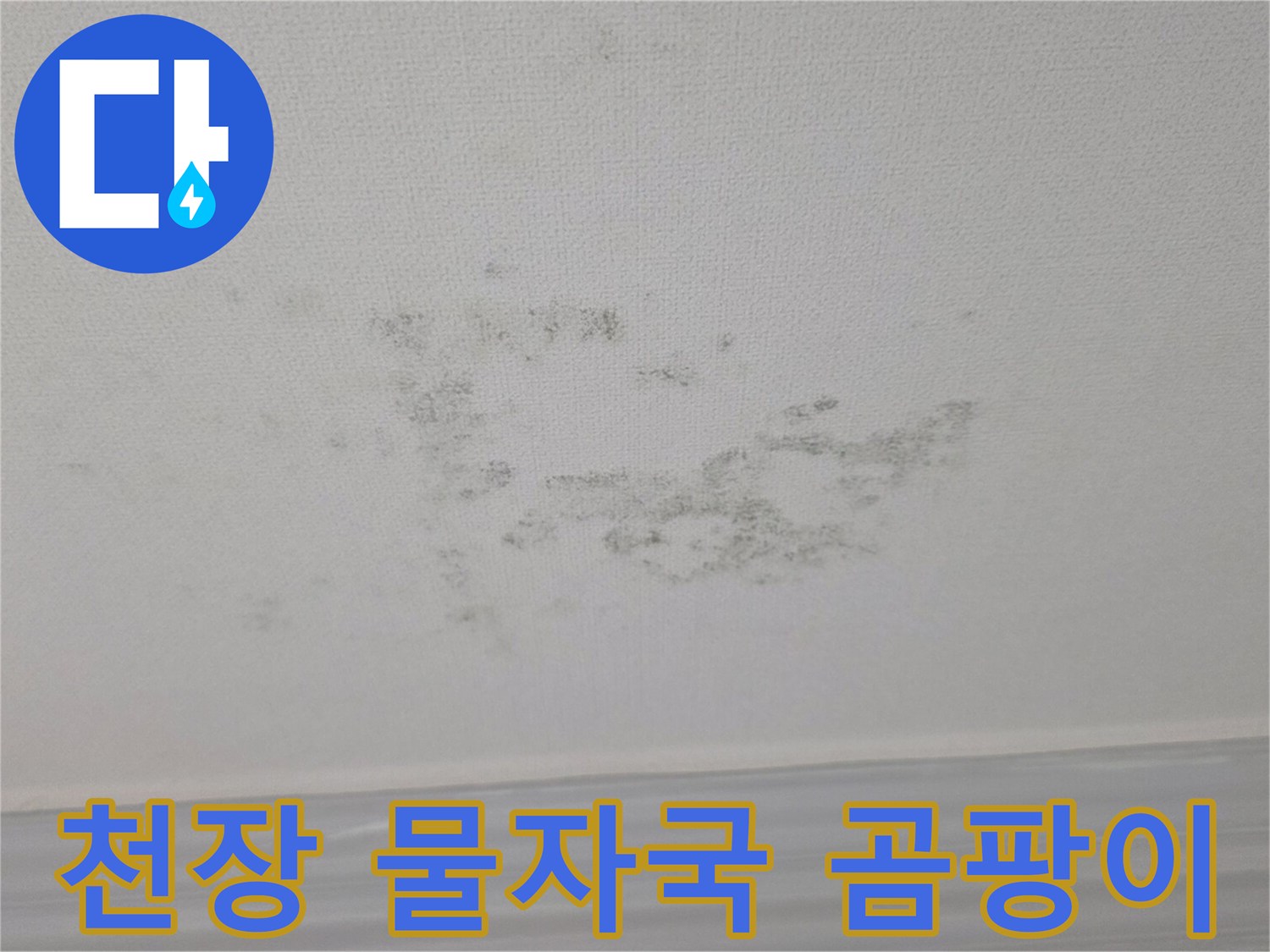 물샘 현상으로 인해 변색된 천장 마감재 부위