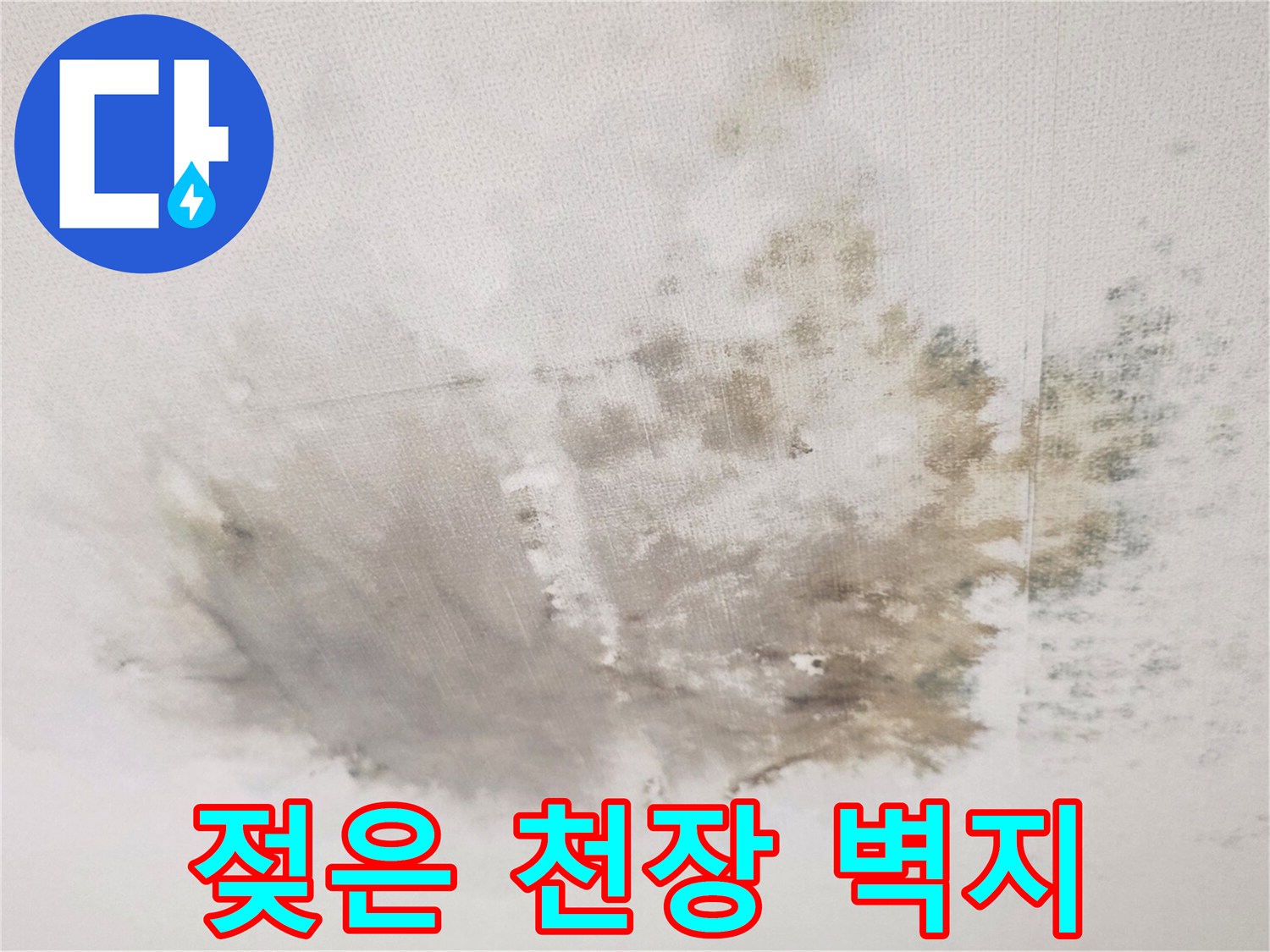 물이 스며들어 거뭇하게 변한 거실 천장 부위