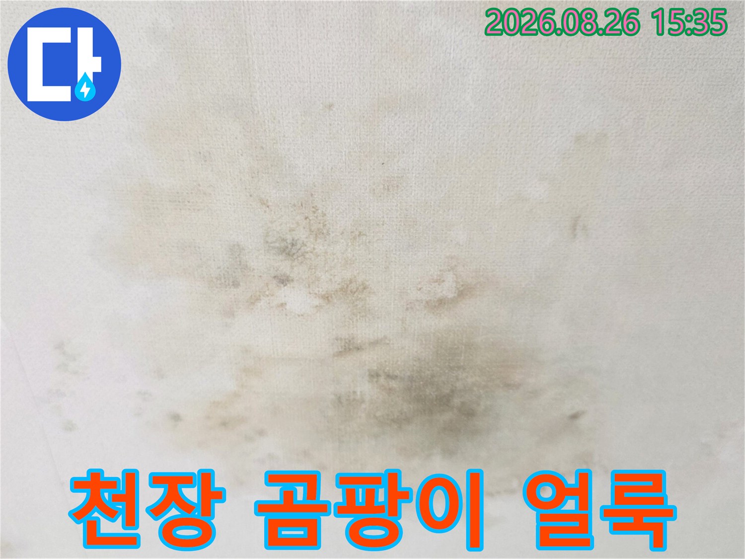 습기로 인해 변색되고 곰팡이가 발생한 천장 마감재 모습