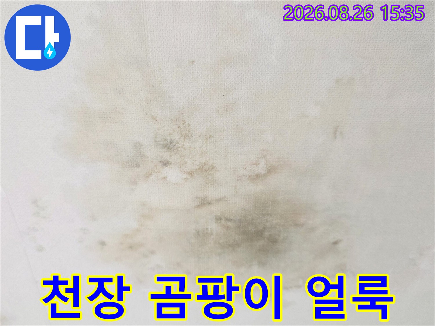 천장 마감재에 나타난 누수 침투 및 곰팡이 번식 흔적