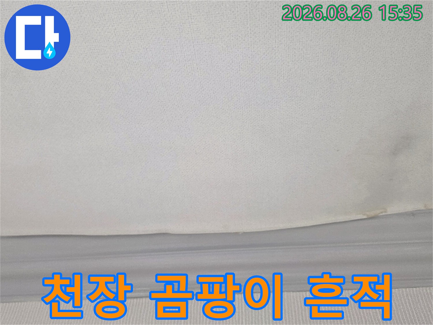 하얀 천장 벽지 위에 발생한 어두운 색의 곰팡이 및 습기 자국
