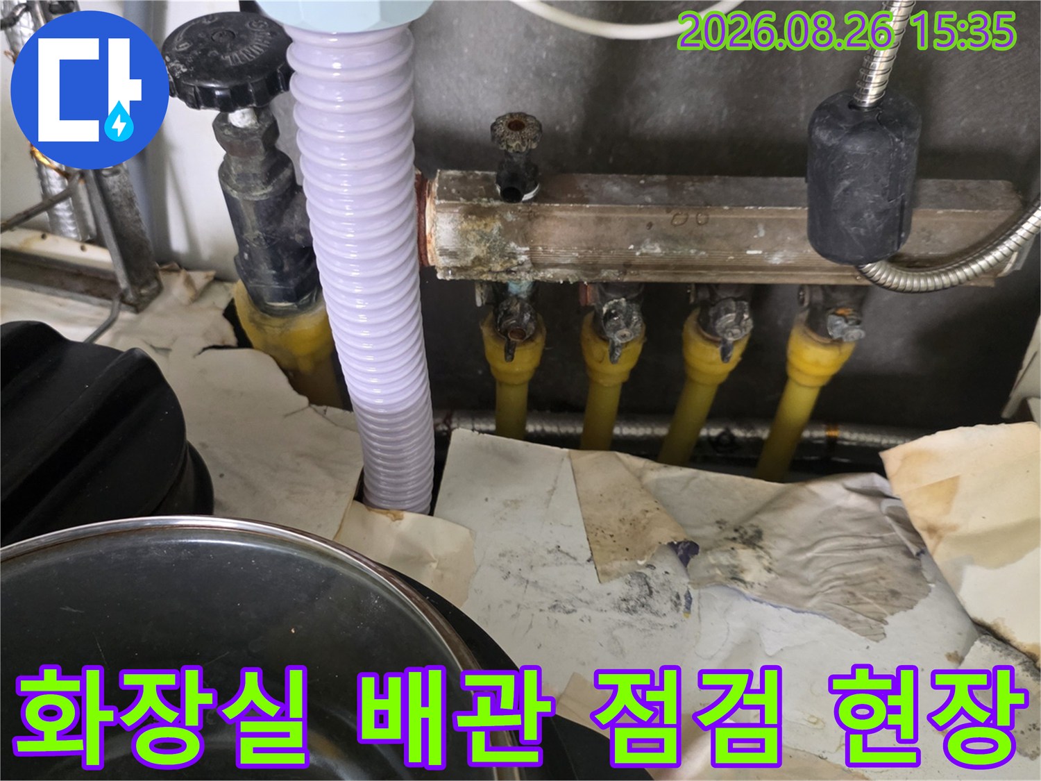 화장실 내부의 노출된 배관과 하수구 주변의 습기 상태를 점검하는 모습