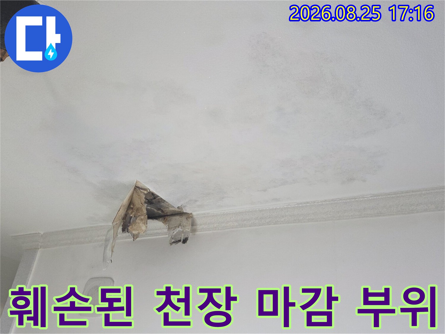 물샘 현상으로 인해 변색과 찢어짐이 발생한 천장 내부 모습