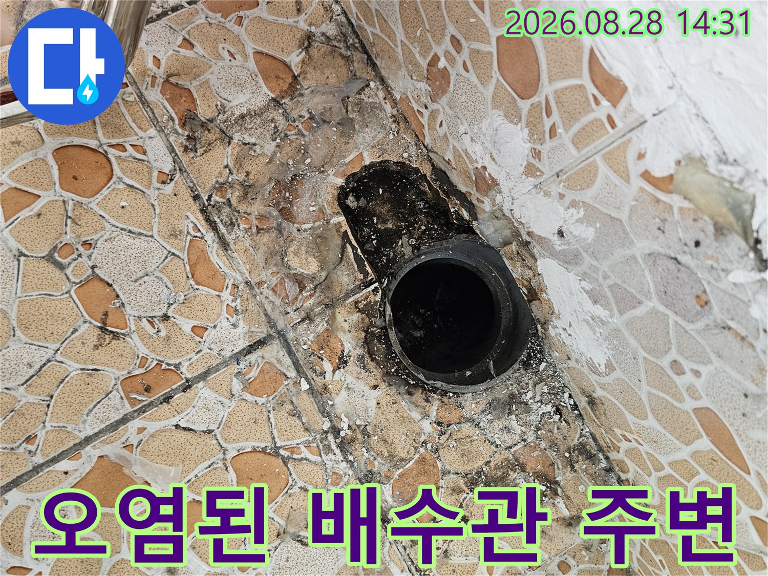 배수구 입구 근처의 곰팡이와 타일 변색을 보여주는 현장 사진입니다.