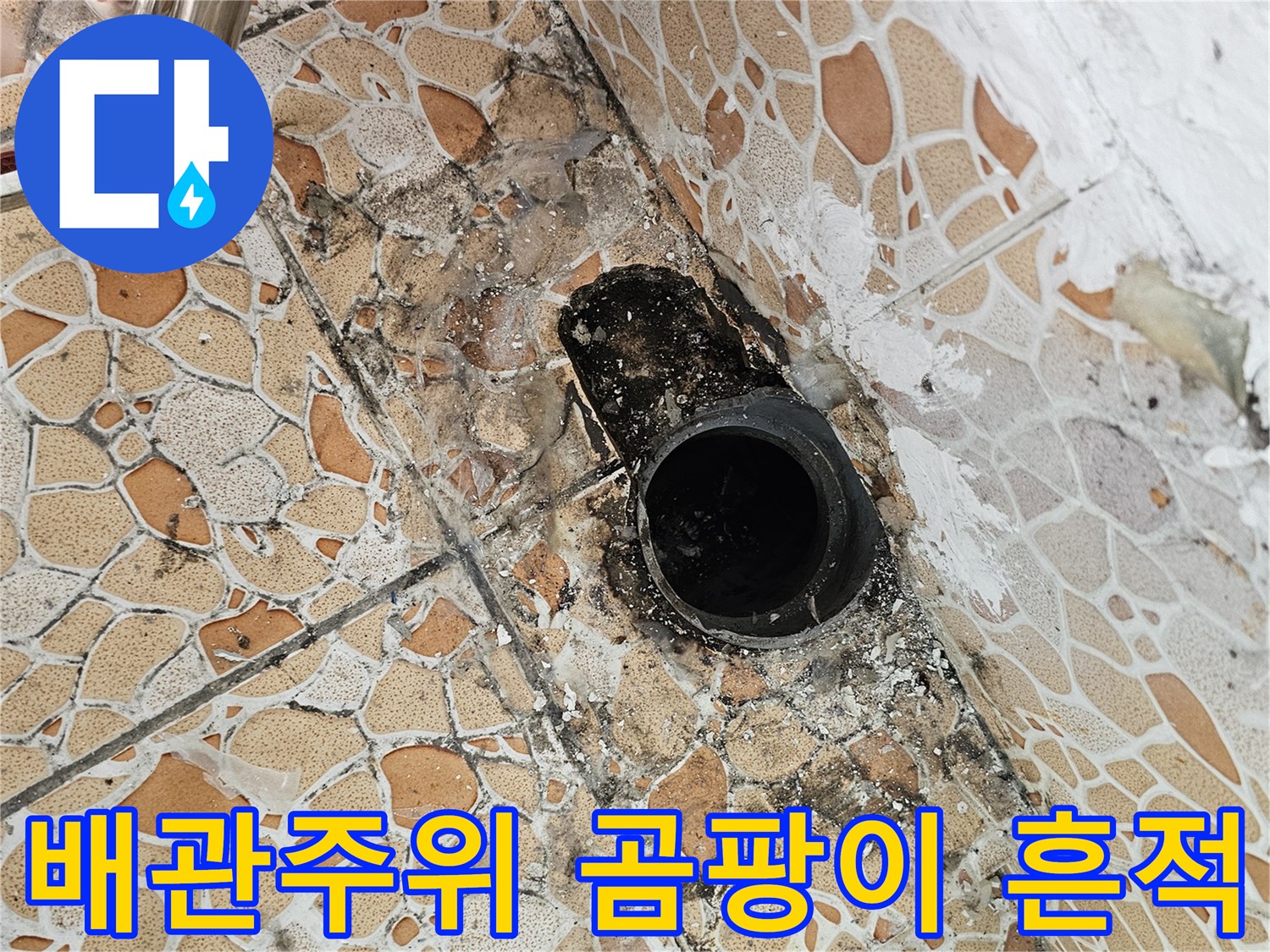 화장실 바닥 배관 주위에 검게 발생한 곰팡이와 물샘 흔적