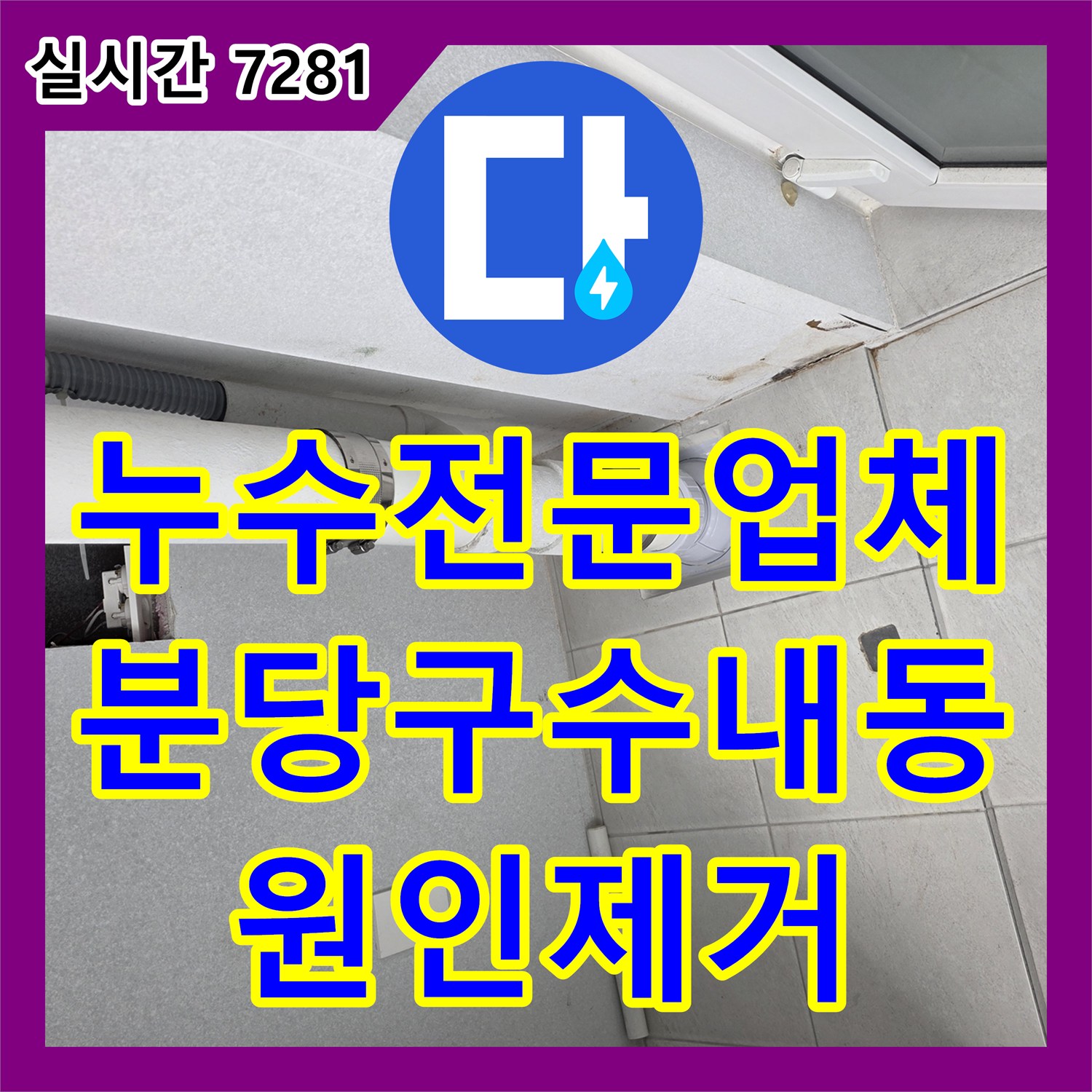 누수전문업체 내시경 검사로 밝혀낸 빗물 유입 우수관 하자 수리 과정 경기 성남시 분당구 수내동