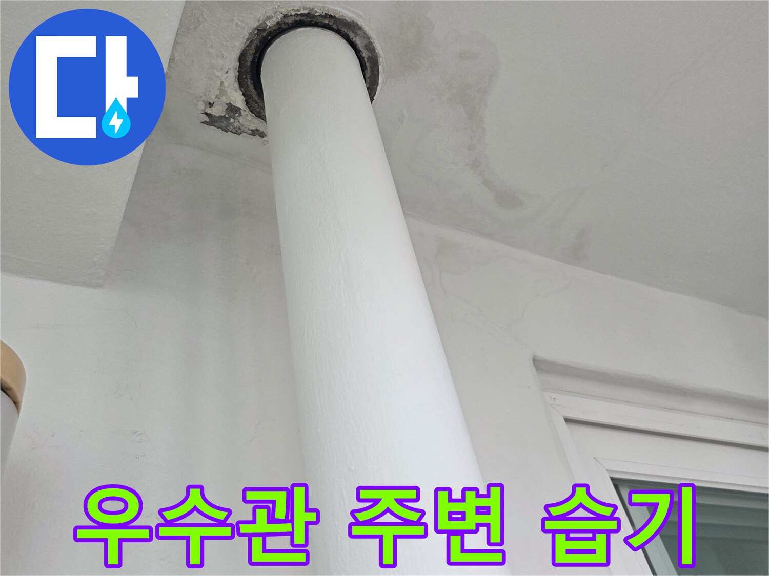 분당-수내동-우수관-주변-젖은-벽면