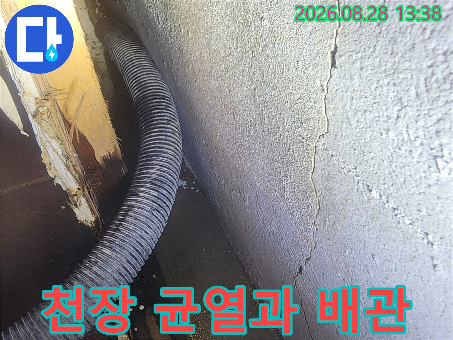 성동구 도선동-지하 천장 균열 부위와 노출된 배관 모습