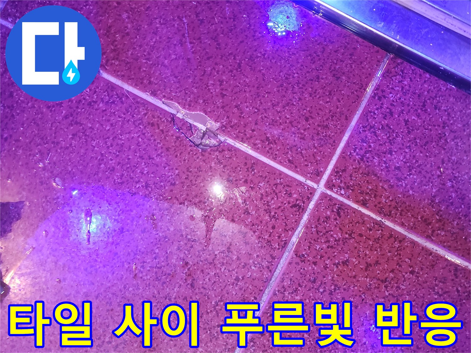 자외선 랜턴으로 찾아낸-타일 틈새의 누수 흔적