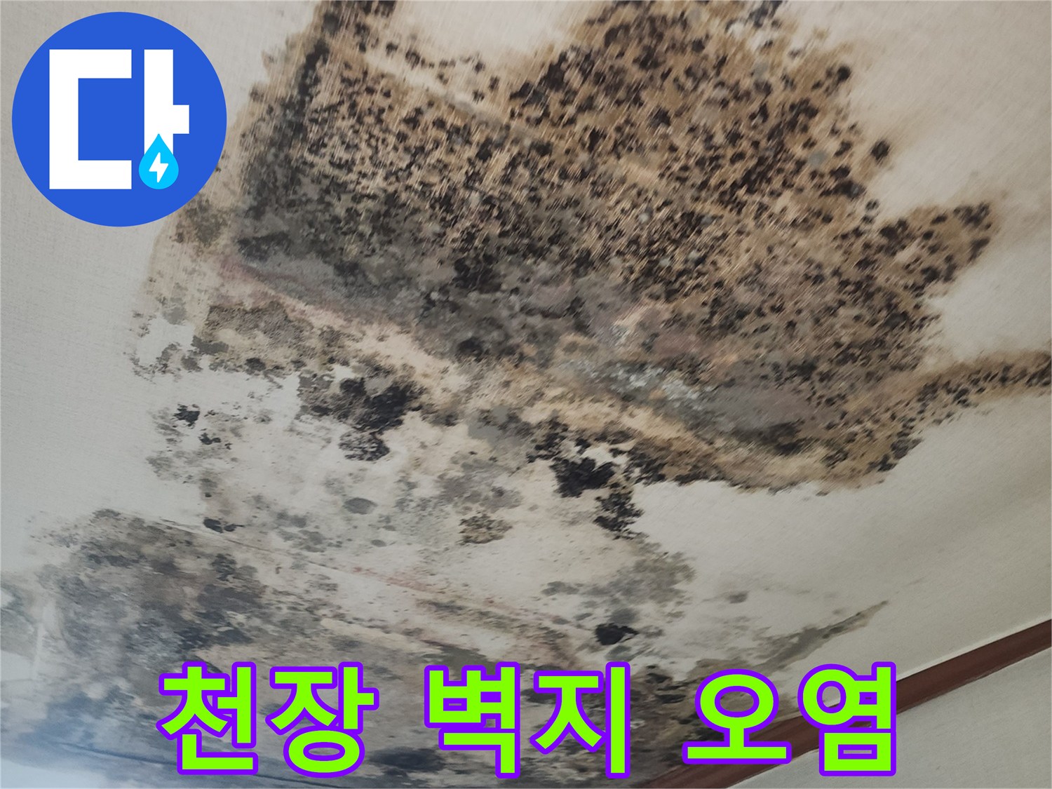 누수로 인해 검게 변색된 거실 천장 벽지 모습
