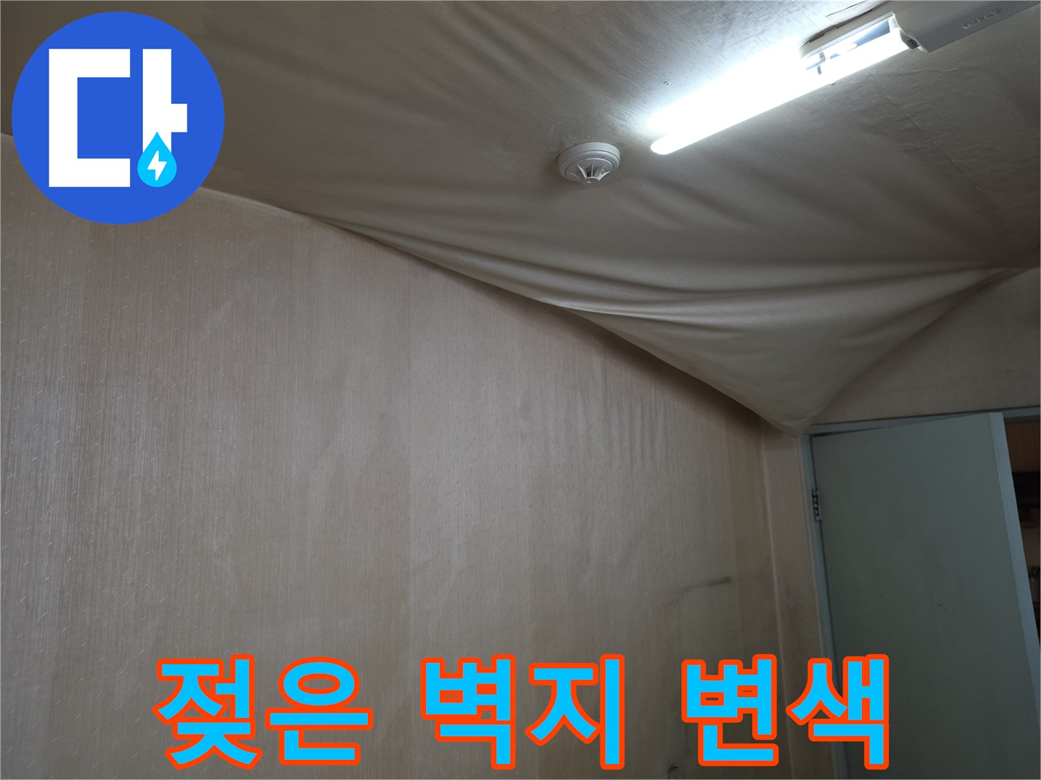 천장 벽지의 습기로 인한 변색과 눅눅한 상태를 보여주는 사진