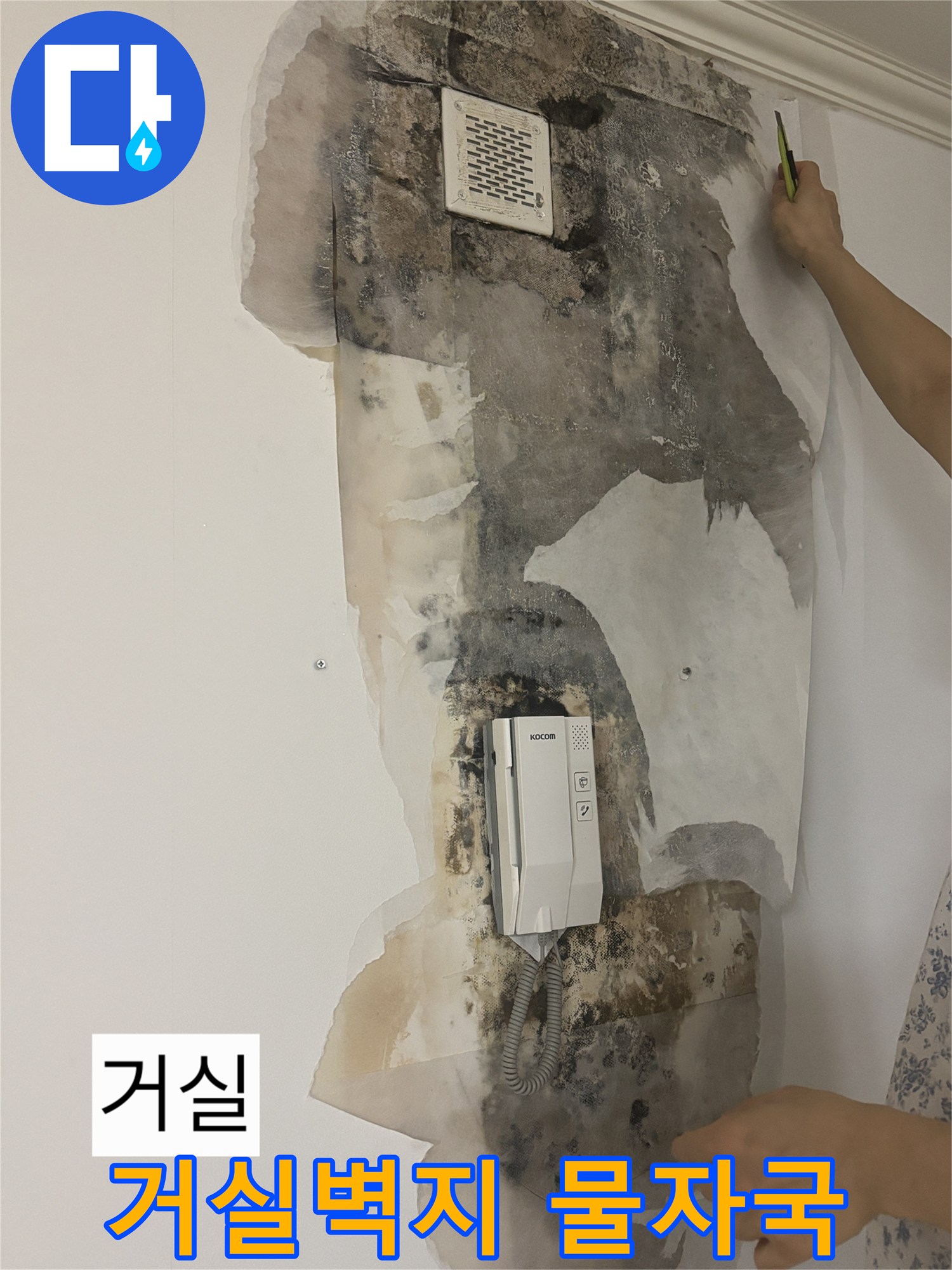 상계동 아파트 거실-벽지 변색 및 곰팡이 발생 현황