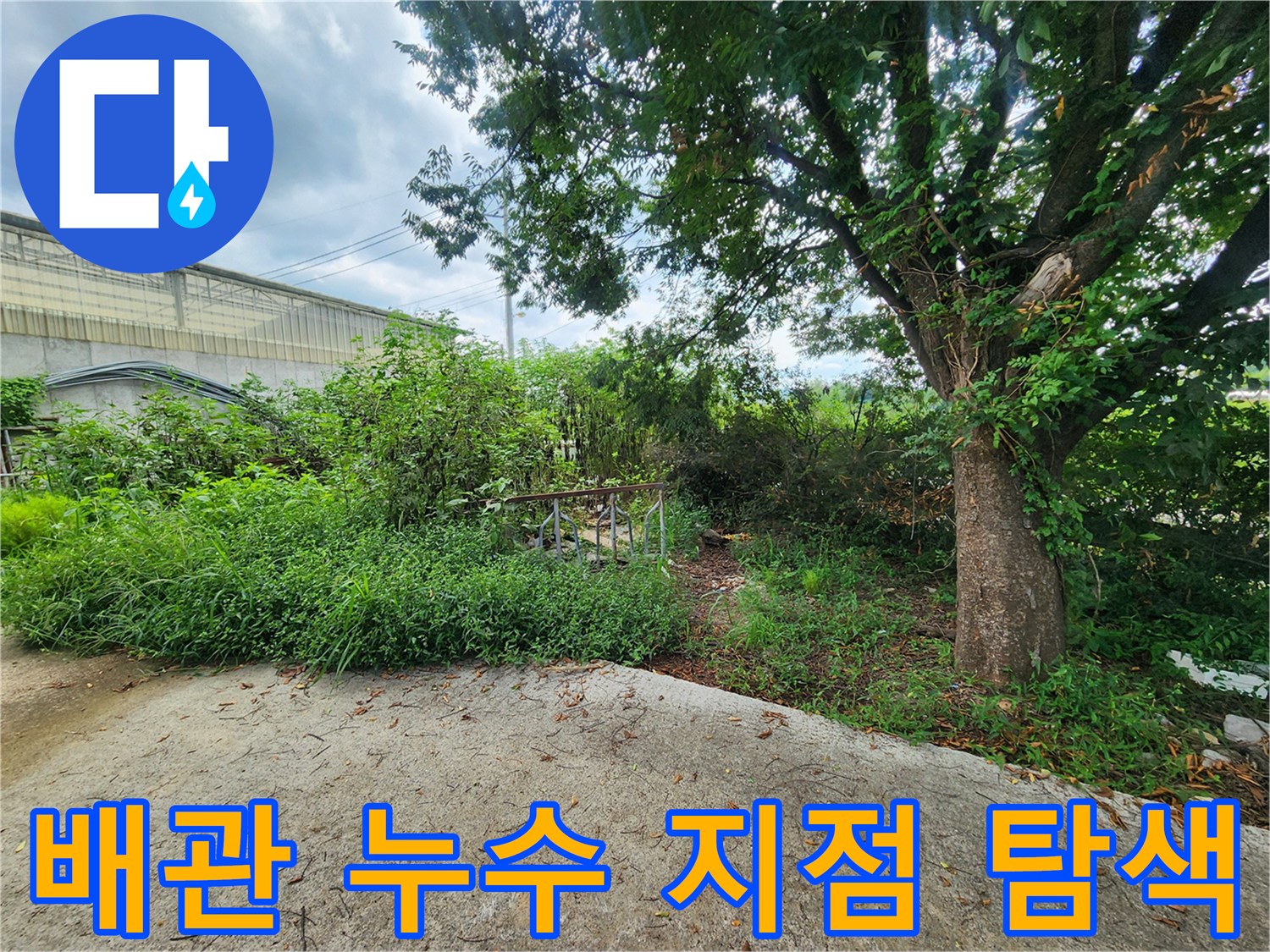나무와 풀이 있는 야외 현장 - 배관의 물샘 부위를 찾기 위해 탐지 중입니다.