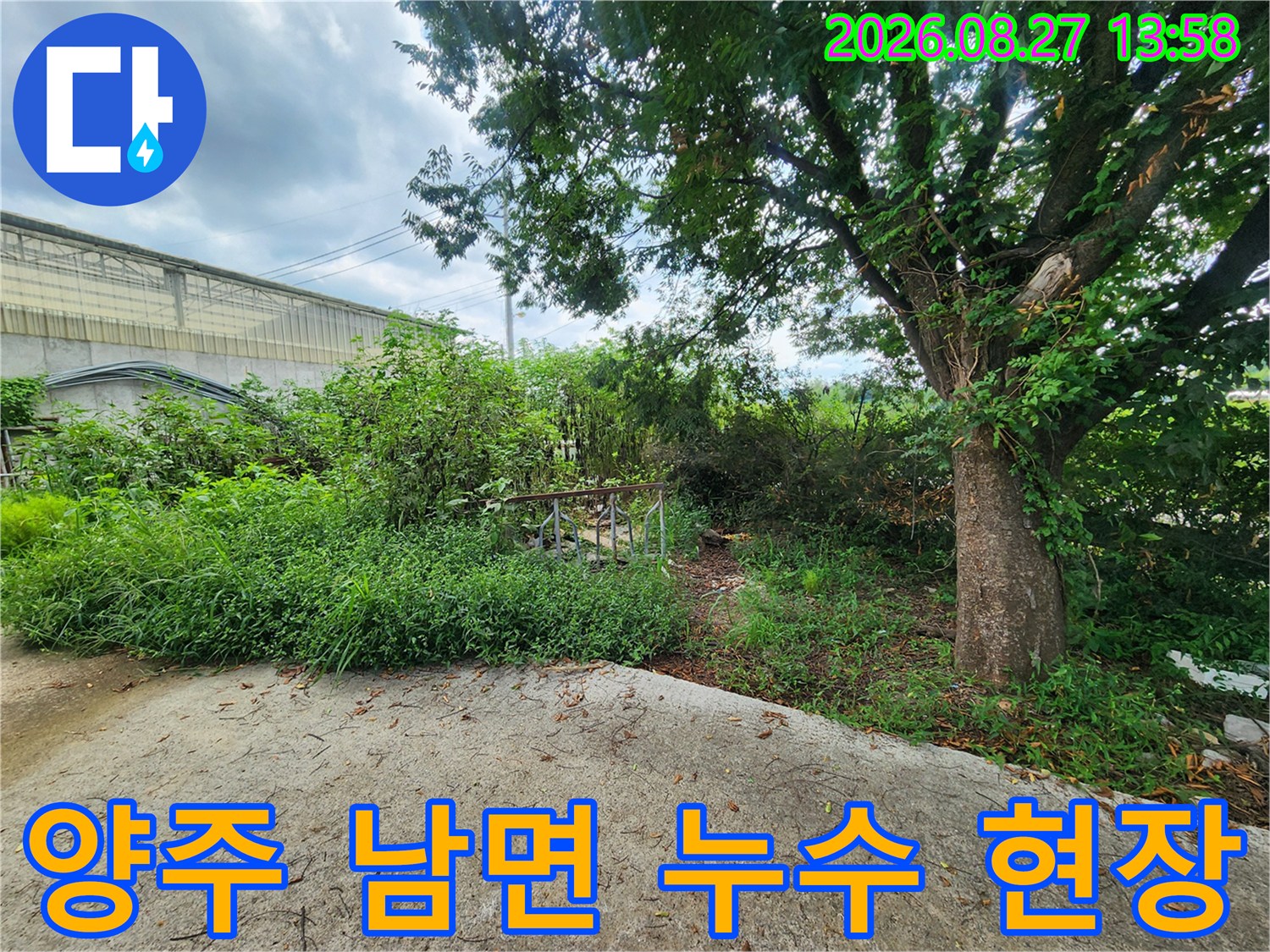 양주시 남면-수풀이 우거진 배관 누수 의심 지점