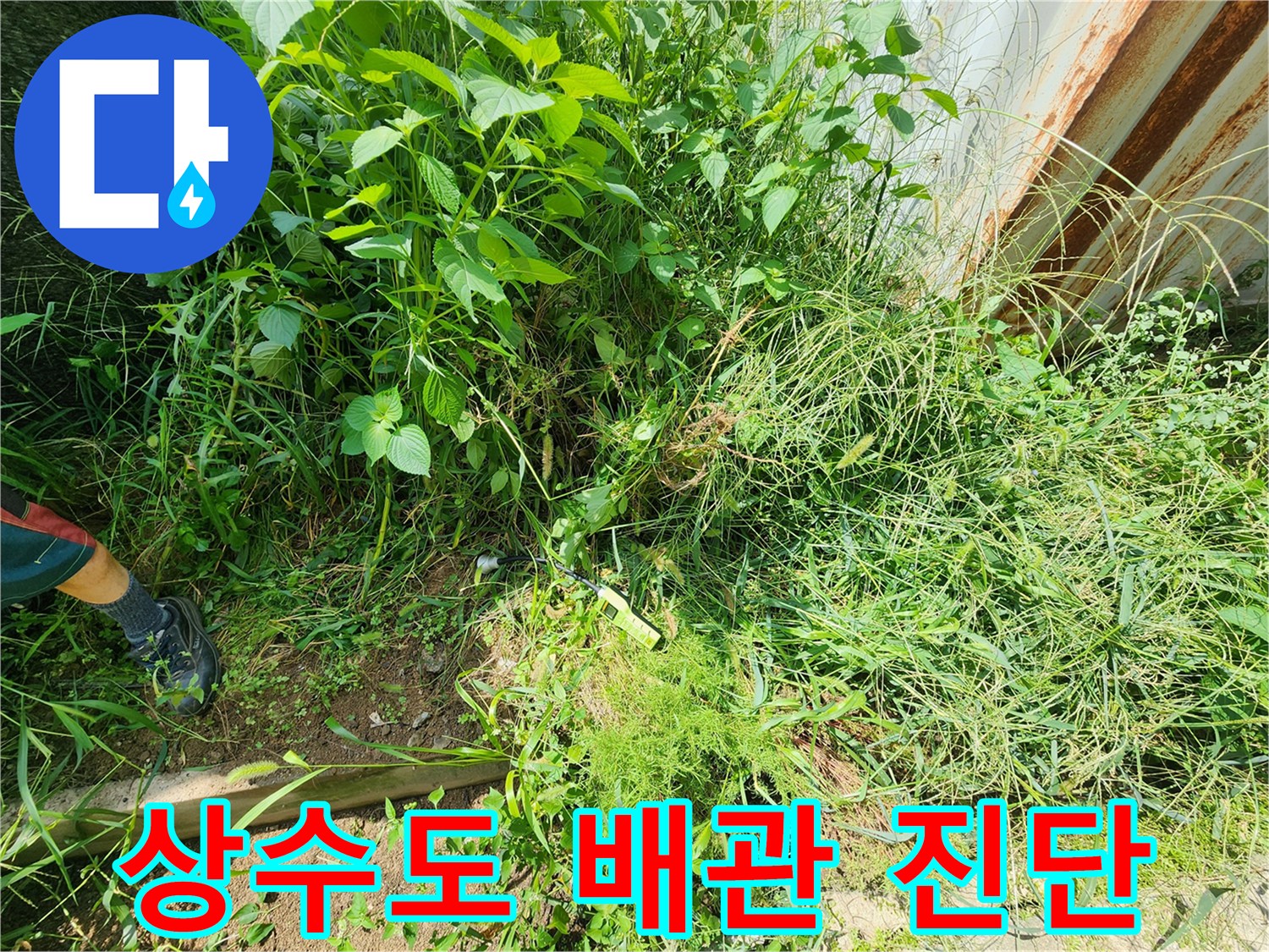 풀숲 아래 숨겨진-상수도 배관의 누수 여부 정밀 확인
