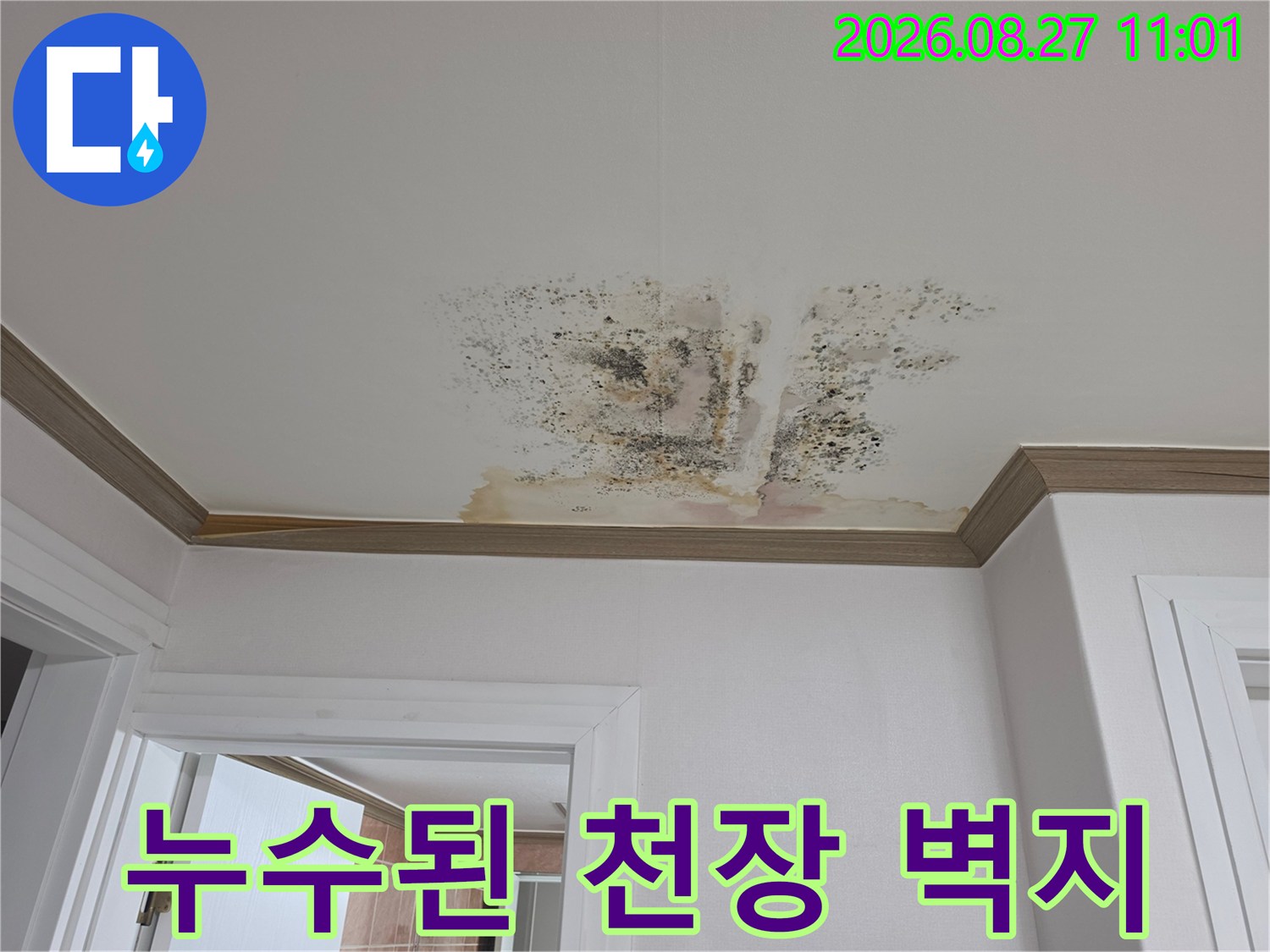 금산군 아파트 내부 천장에 발생한 누수 오염 부위