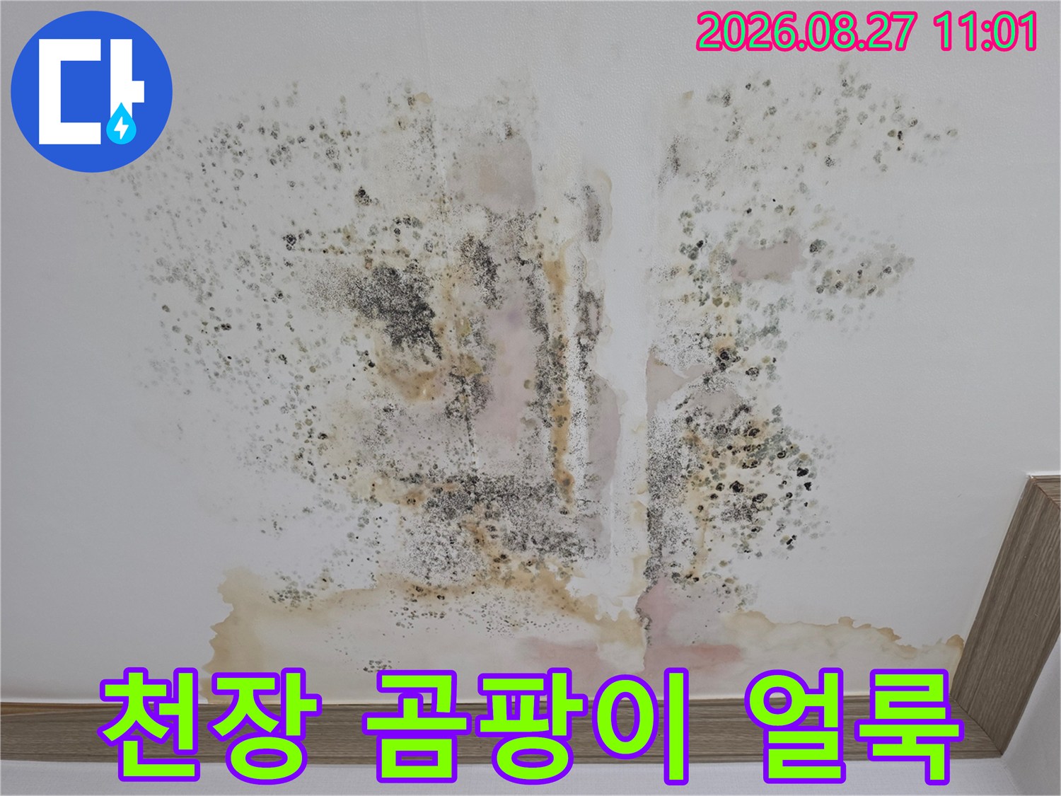 금산읍 아파트 천장에 발생한 검은 곰팡이와 누수 흔적