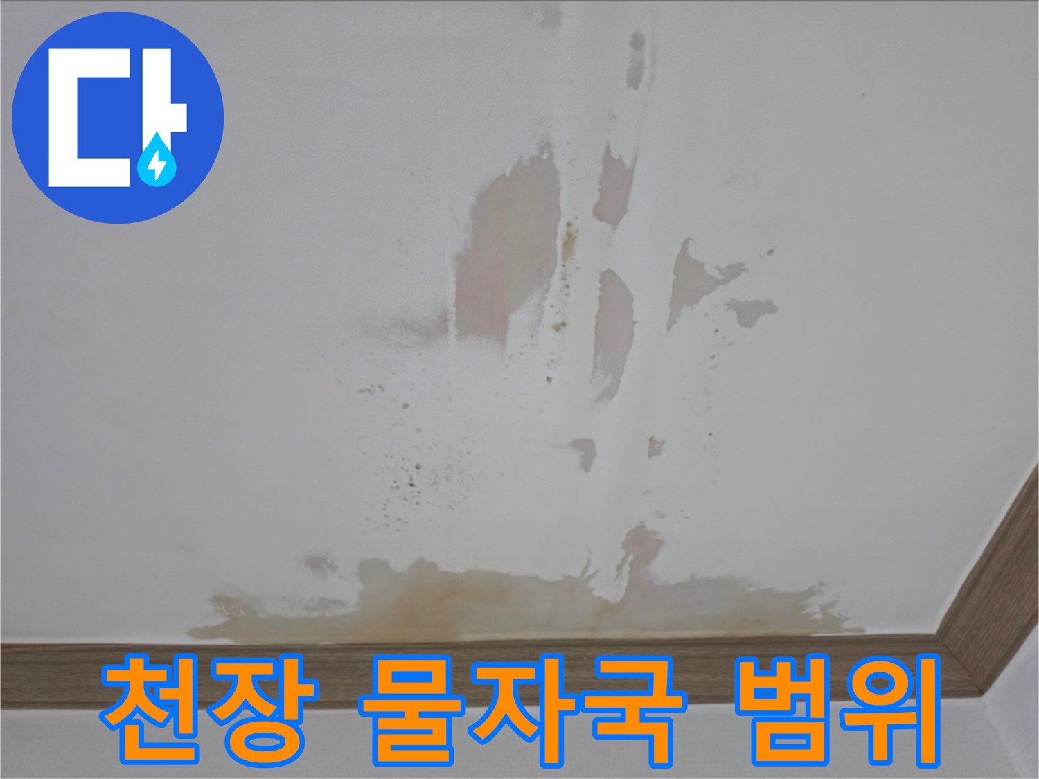 넓게-퍼진-천장-누수-물얼룩-사진