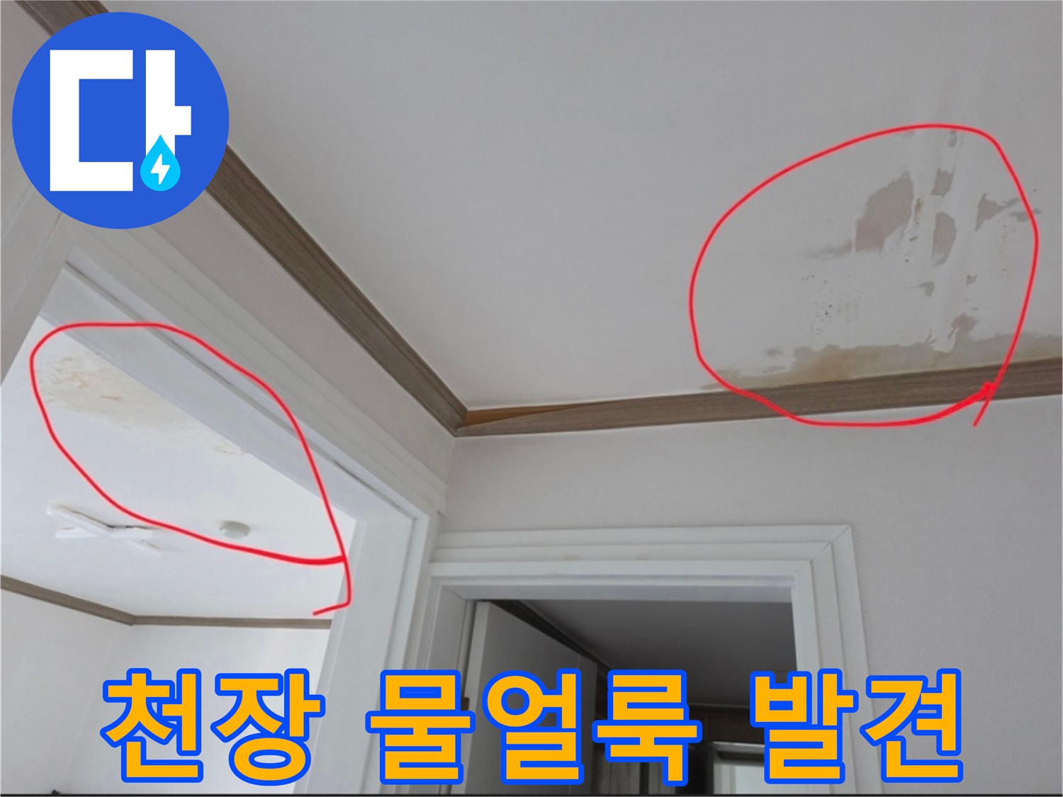 넓게-퍼진-천장-벽지의-물자국-및-변색