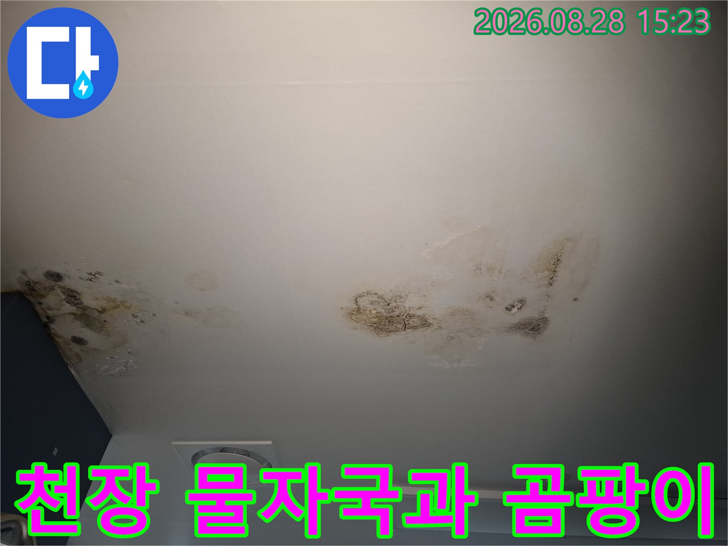 광명 철산동 병실 천장에 발생한 누수 흔적과 곰팡이 상태