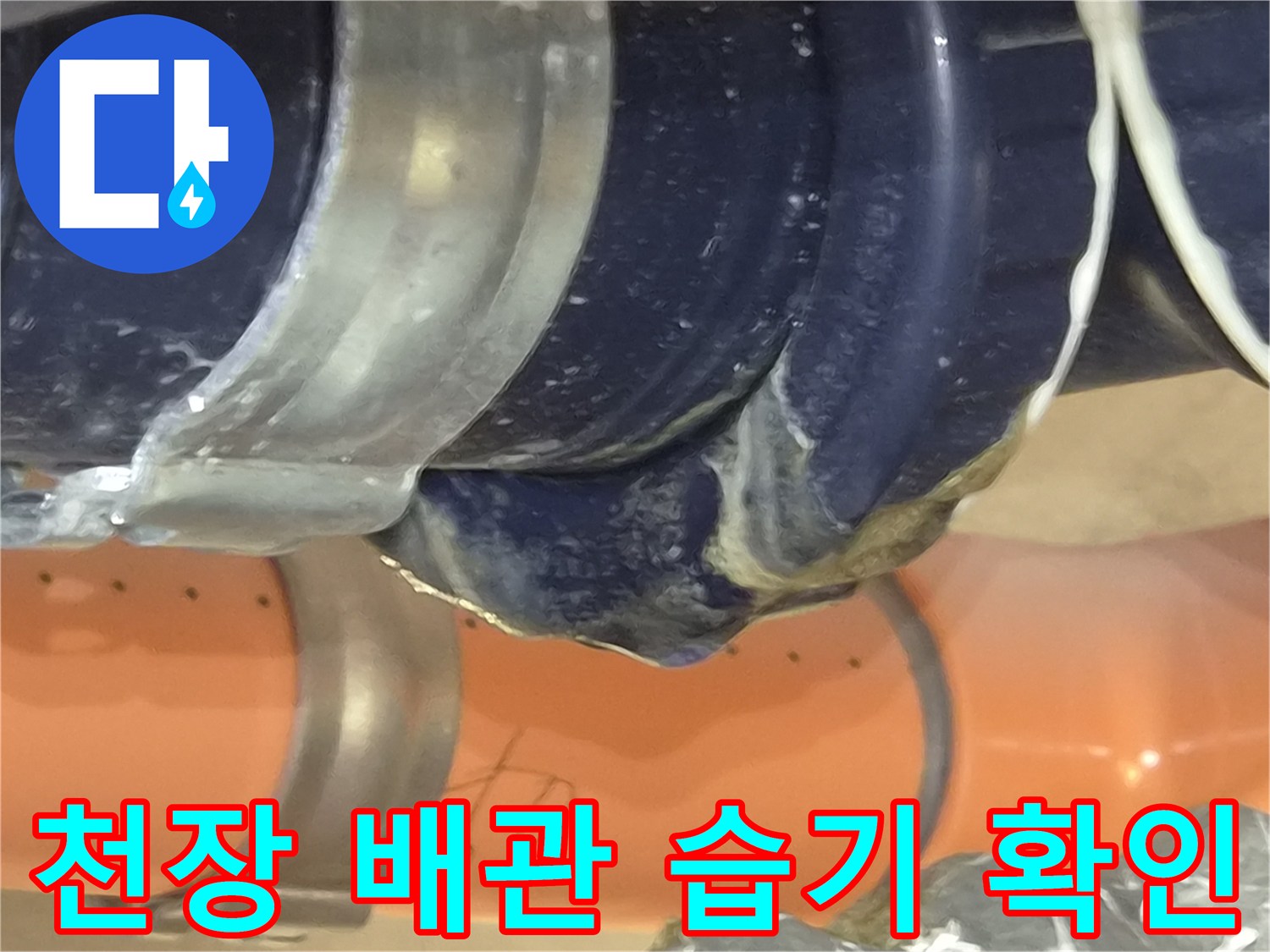 욕실 배수 파이프-연결 부위의 수분 침투 및 오염 상태