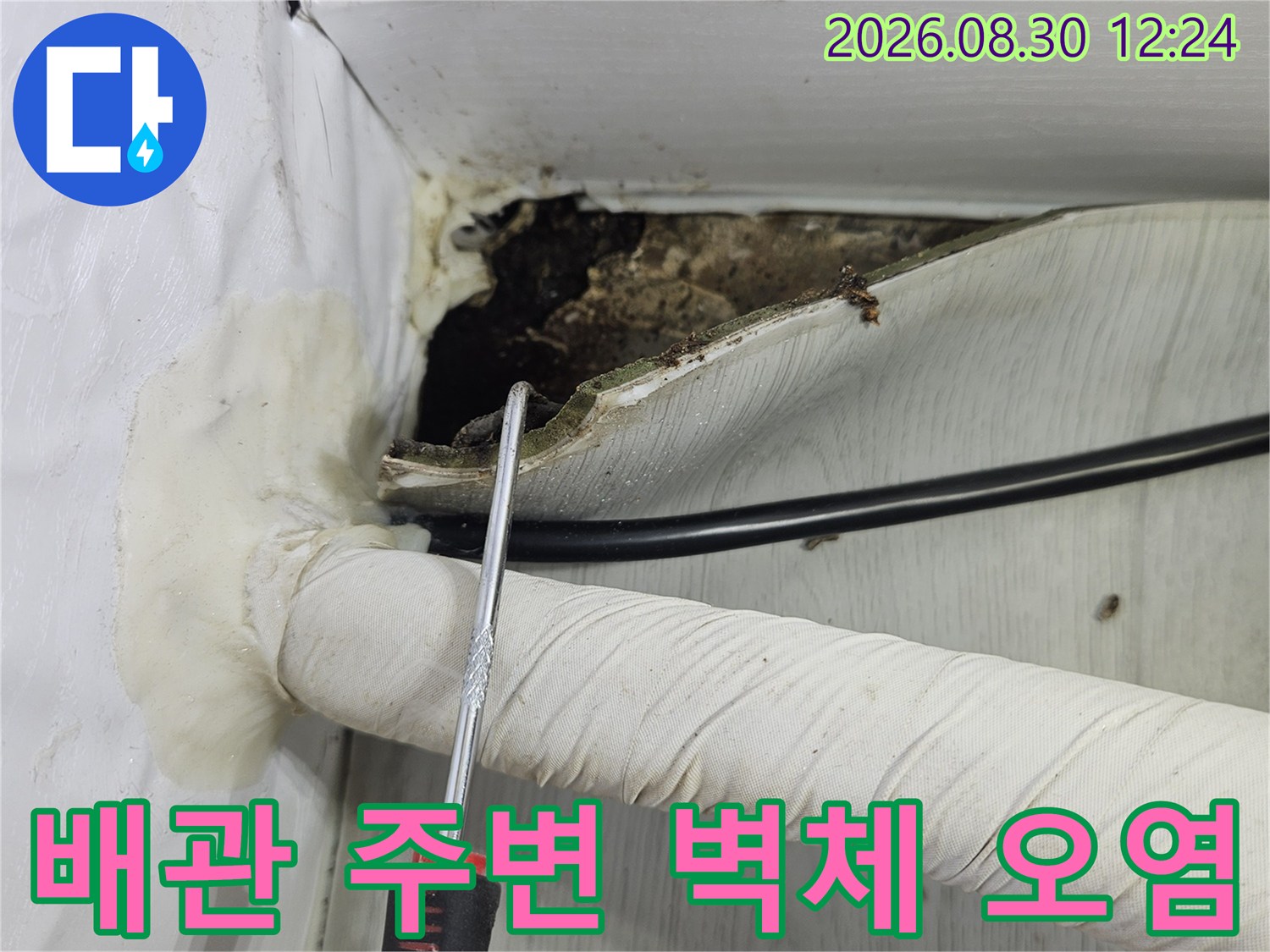 배관-주변의-벽면-틈새에서-발견된-곰팡이와-습기