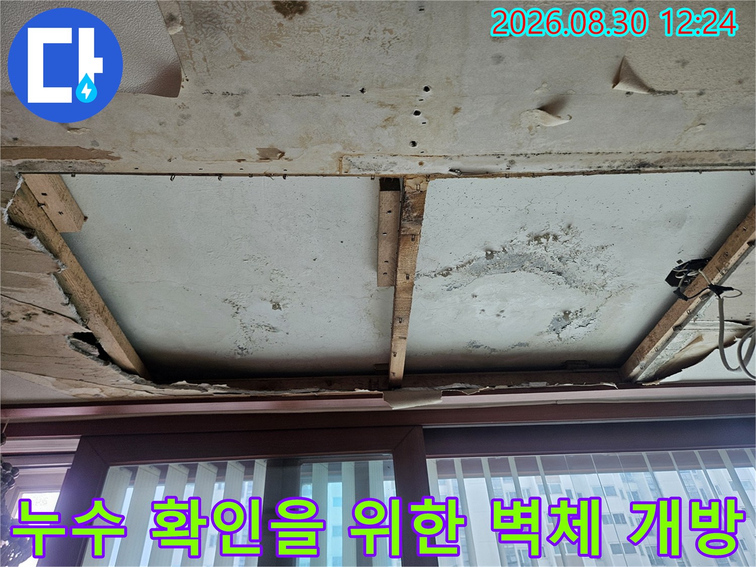 벽면 마감재 제거 후 발견된 곰팡이 오염 부위