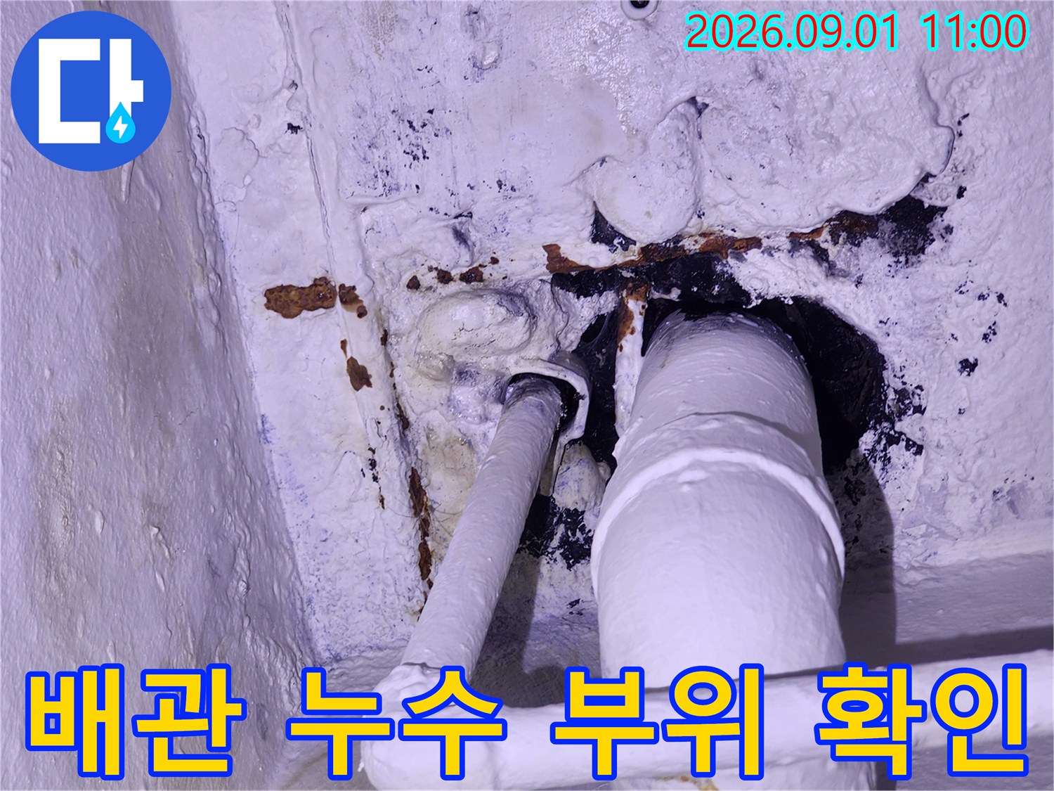 강동구 천장 배관 연결부의 누수 흔적과 곰팡이 발생 상태