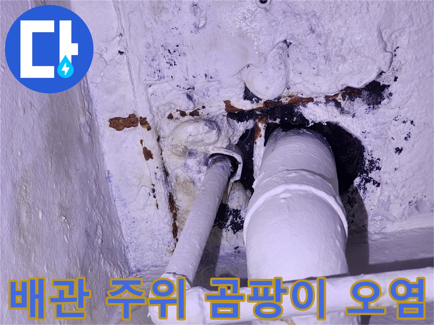 누수로 인해 발생한-배관 주변의 검은 곰팡이와 벽면 부식 상태