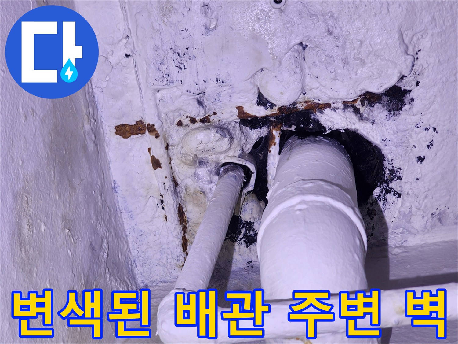 하얀 배관-주변의 검은 곰팡이 및 습기 흔적