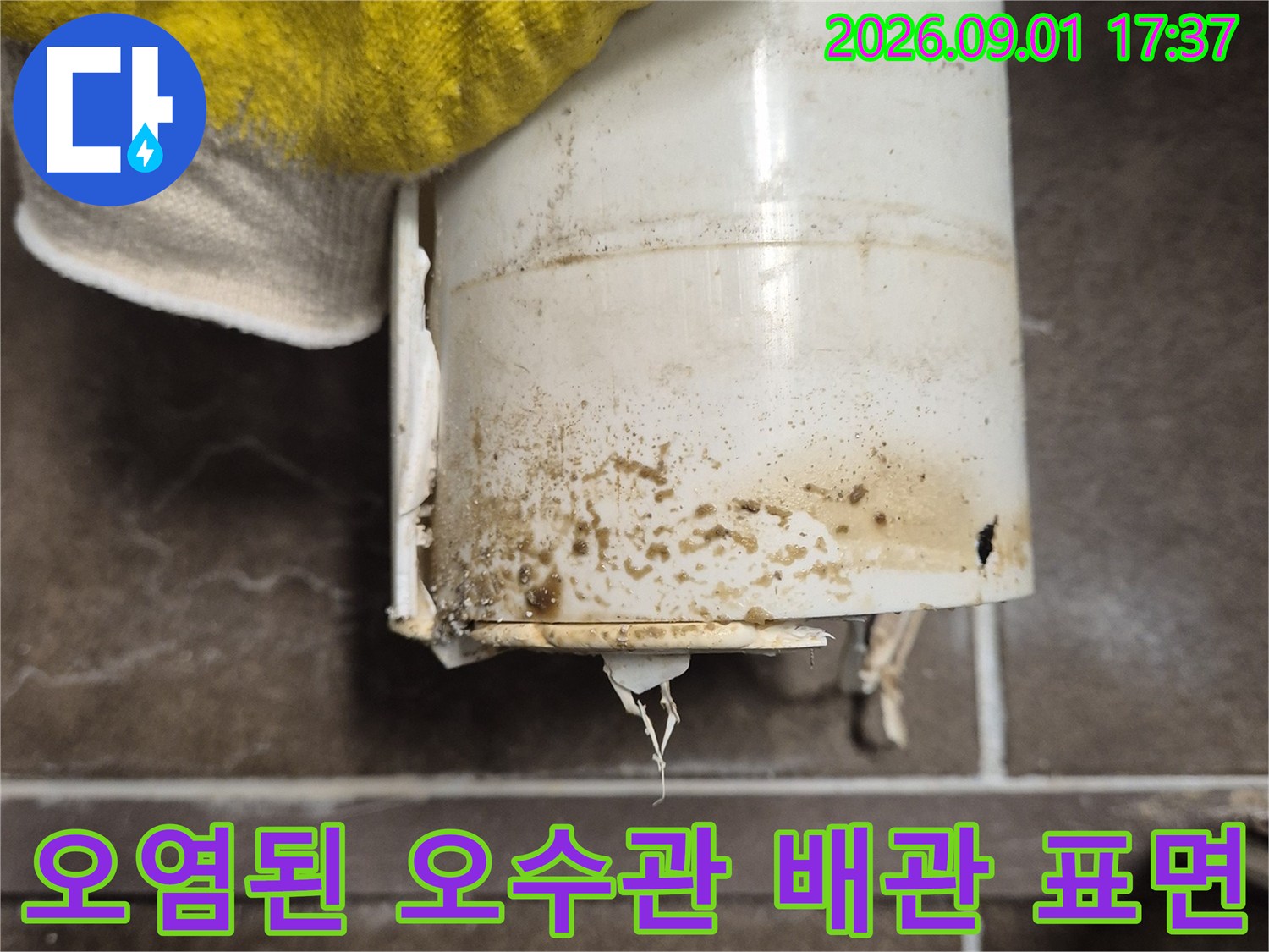 화성 산척동 현장의-오염된 오수관 연결 부위 모습