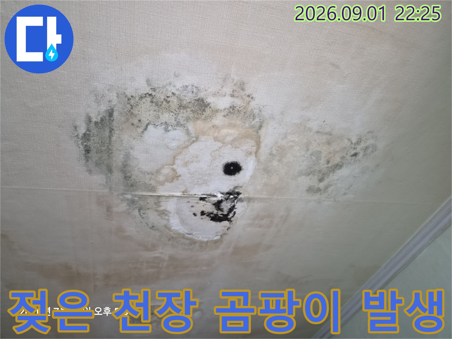 천장 누수 오염 - 습기로 인한 변색과 곰팡이가 심한 상태입니다.