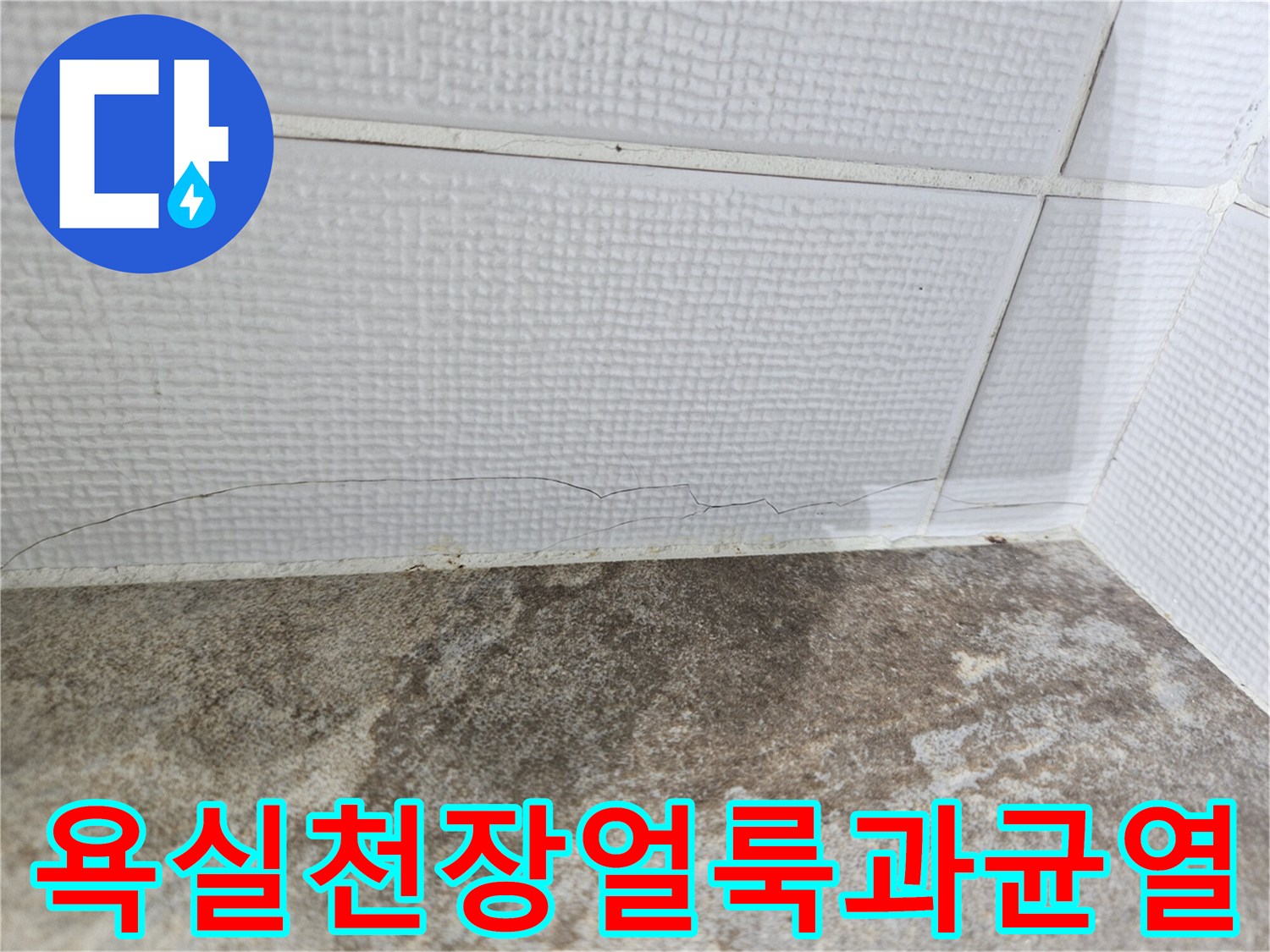욕실-천장-부위의-심한-얼룩과-타일-사이-균열