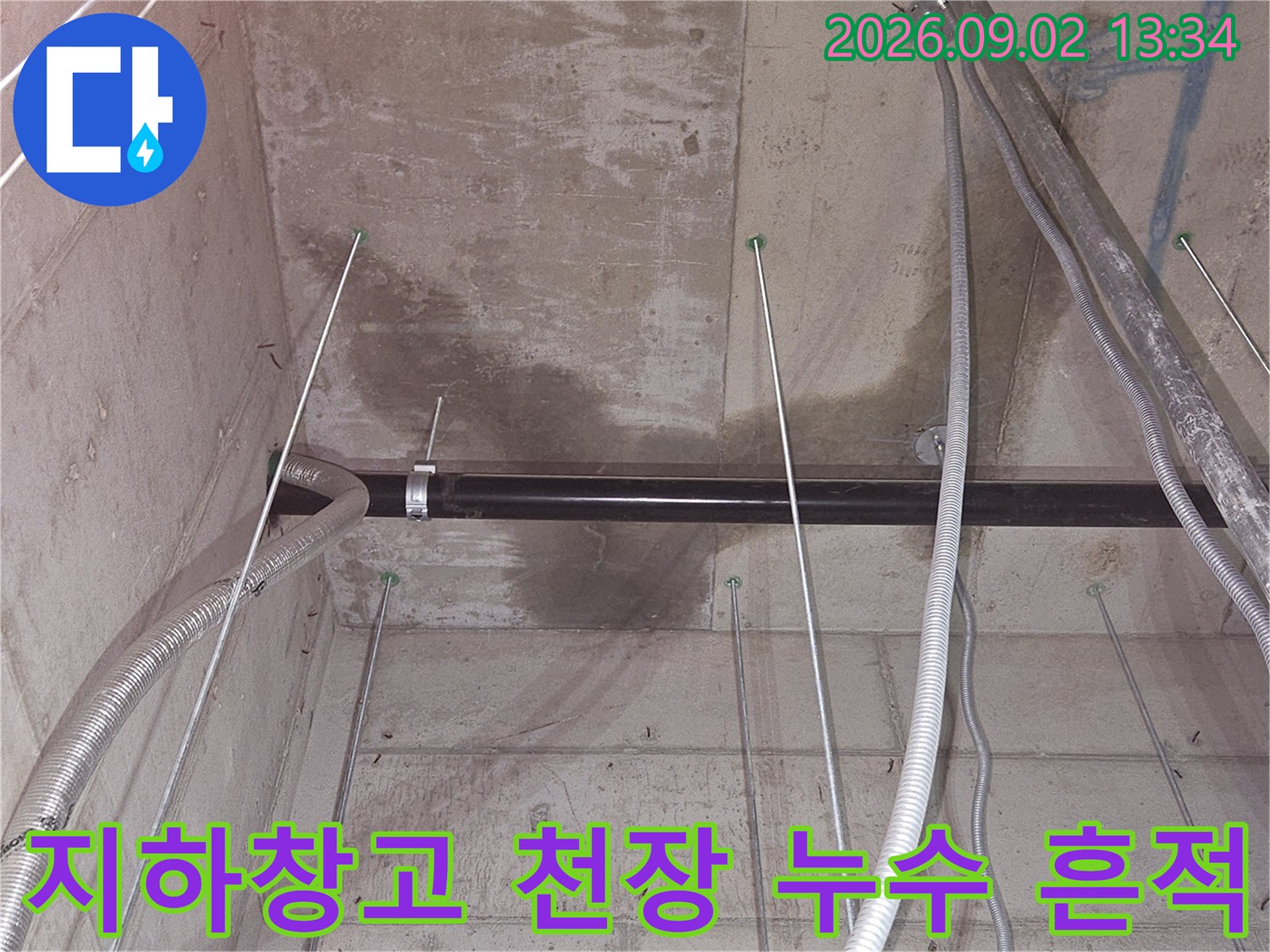 용인 기흥구 영덕동-지하 창고 콘크리트 천장의 젖은 얼룩과 배관 상태