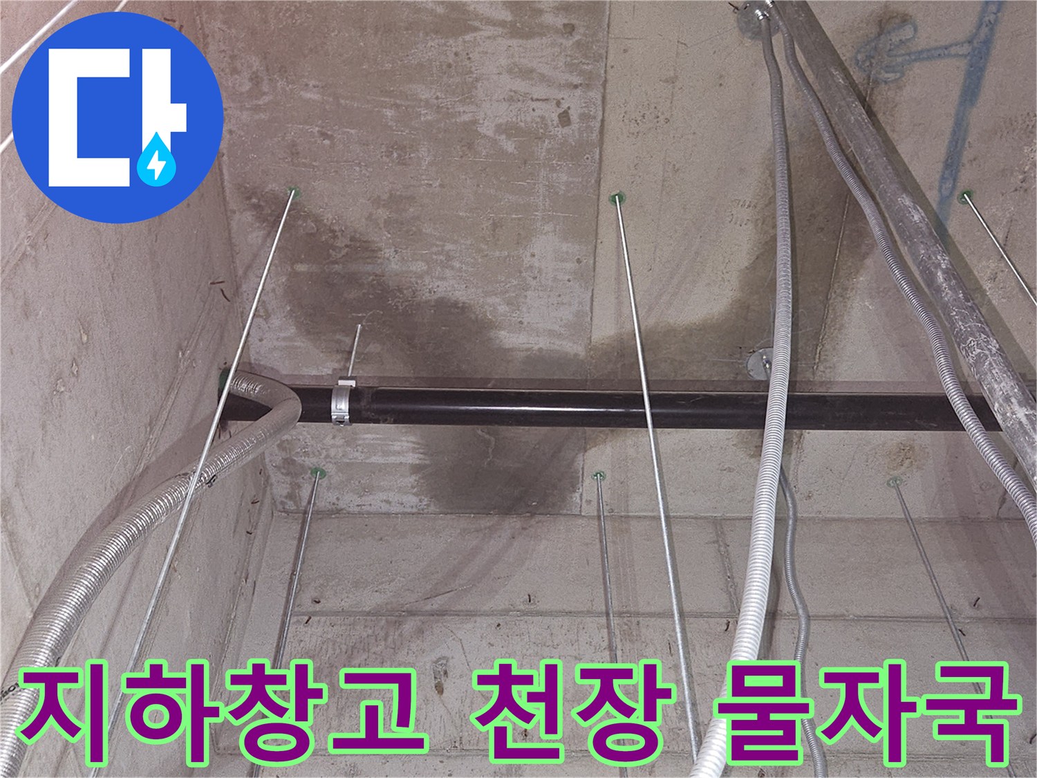 용인 기흥구 지하 창고 콘크리트 천장의 누수 흔적과 배관 상태