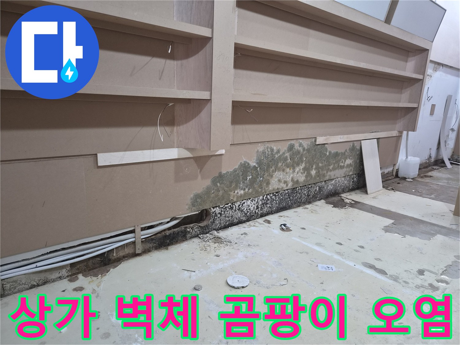 벽면-하단-마감재에-발생한-심한-곰팡이와-습기